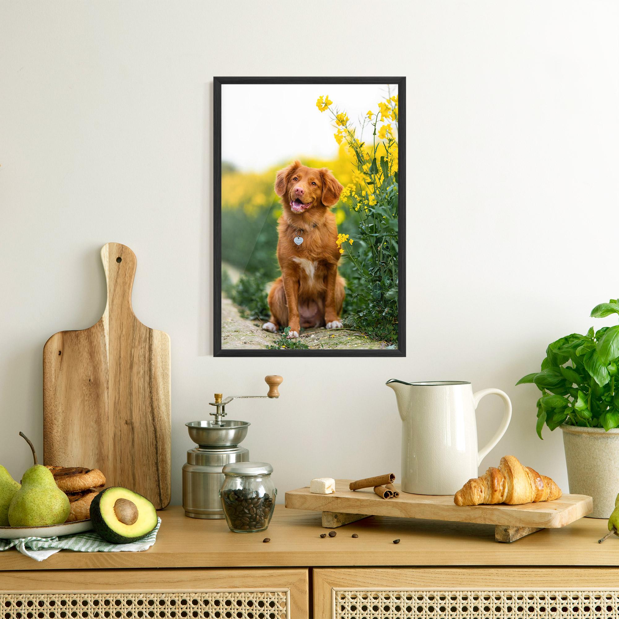 Poster Înrămat Dog Yellow Flowers mockup 8