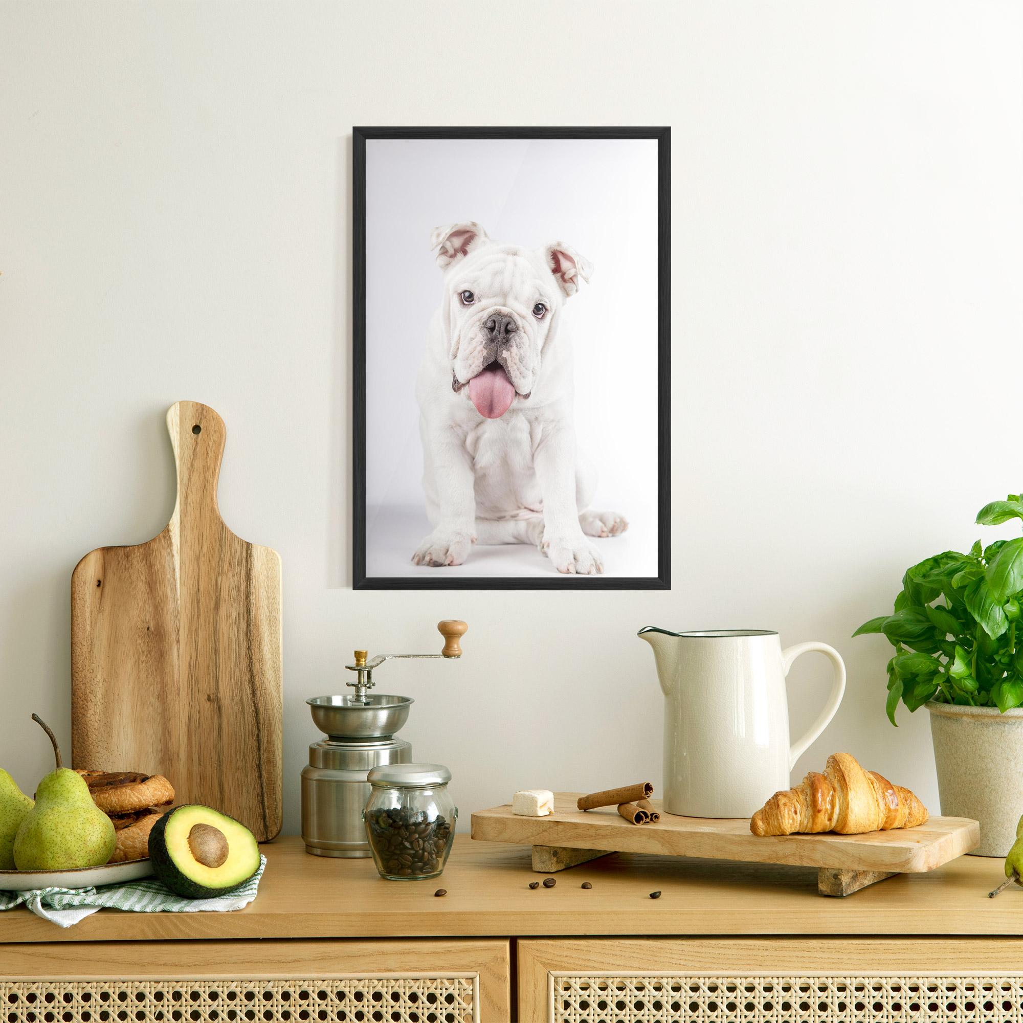 Poster Înrămat English Bulldog mockup 8