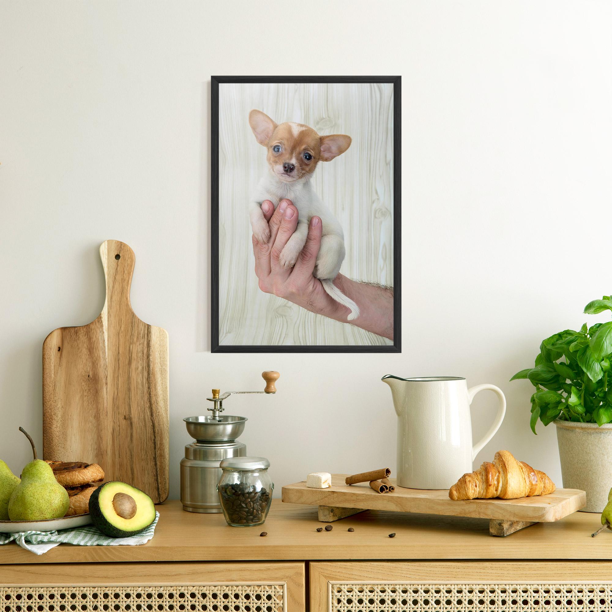 Poster Înrămat Holding Chihuahua mockup 8