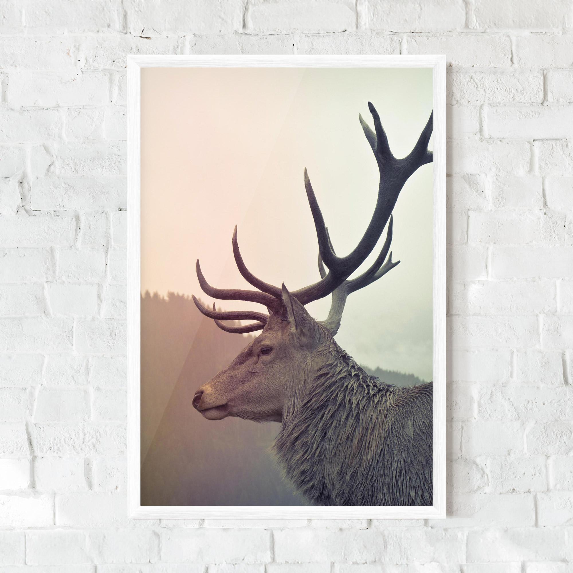 Poster Înrămat King Of The Forest mockup 0