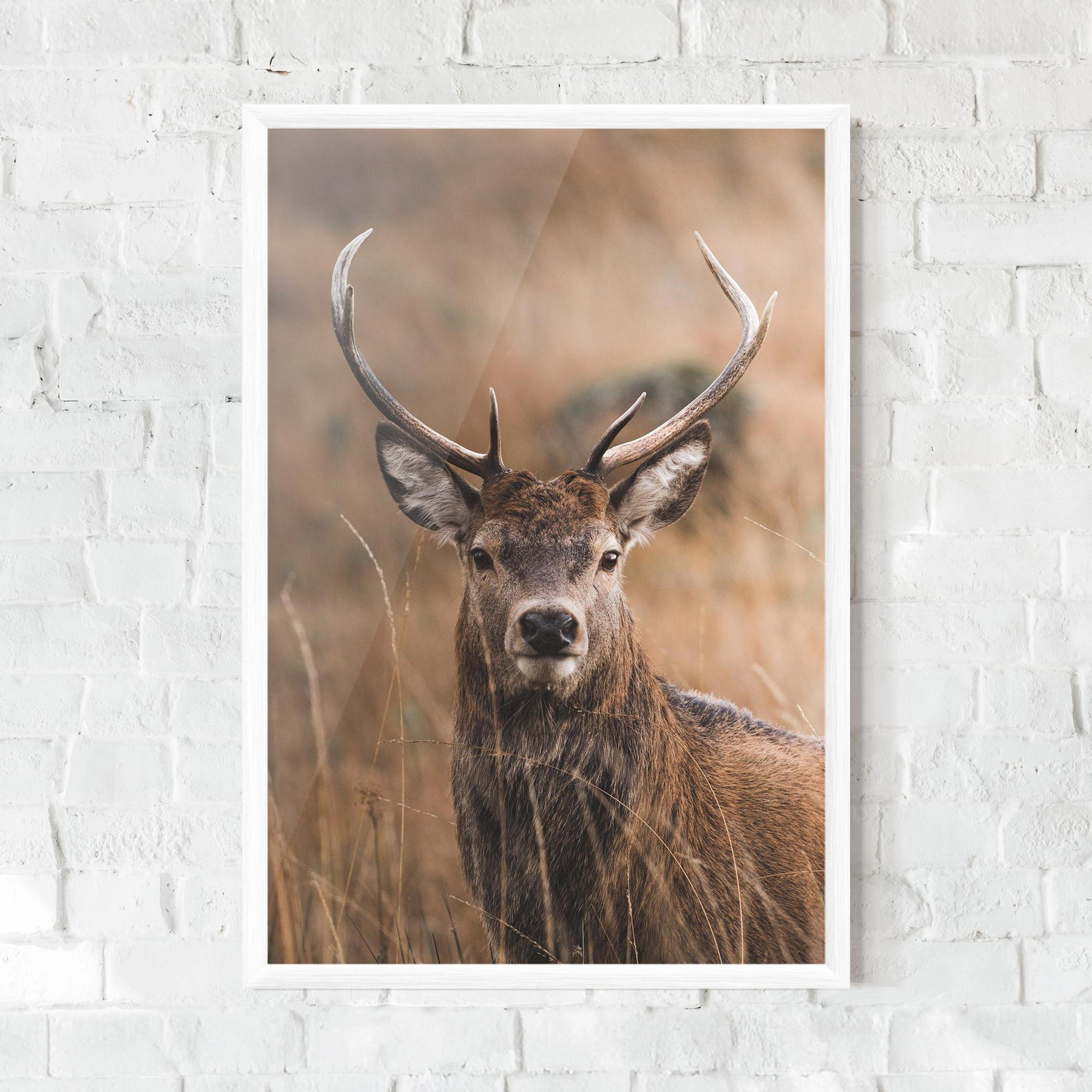 Poster Înrămat Majestic Deer mockup 0