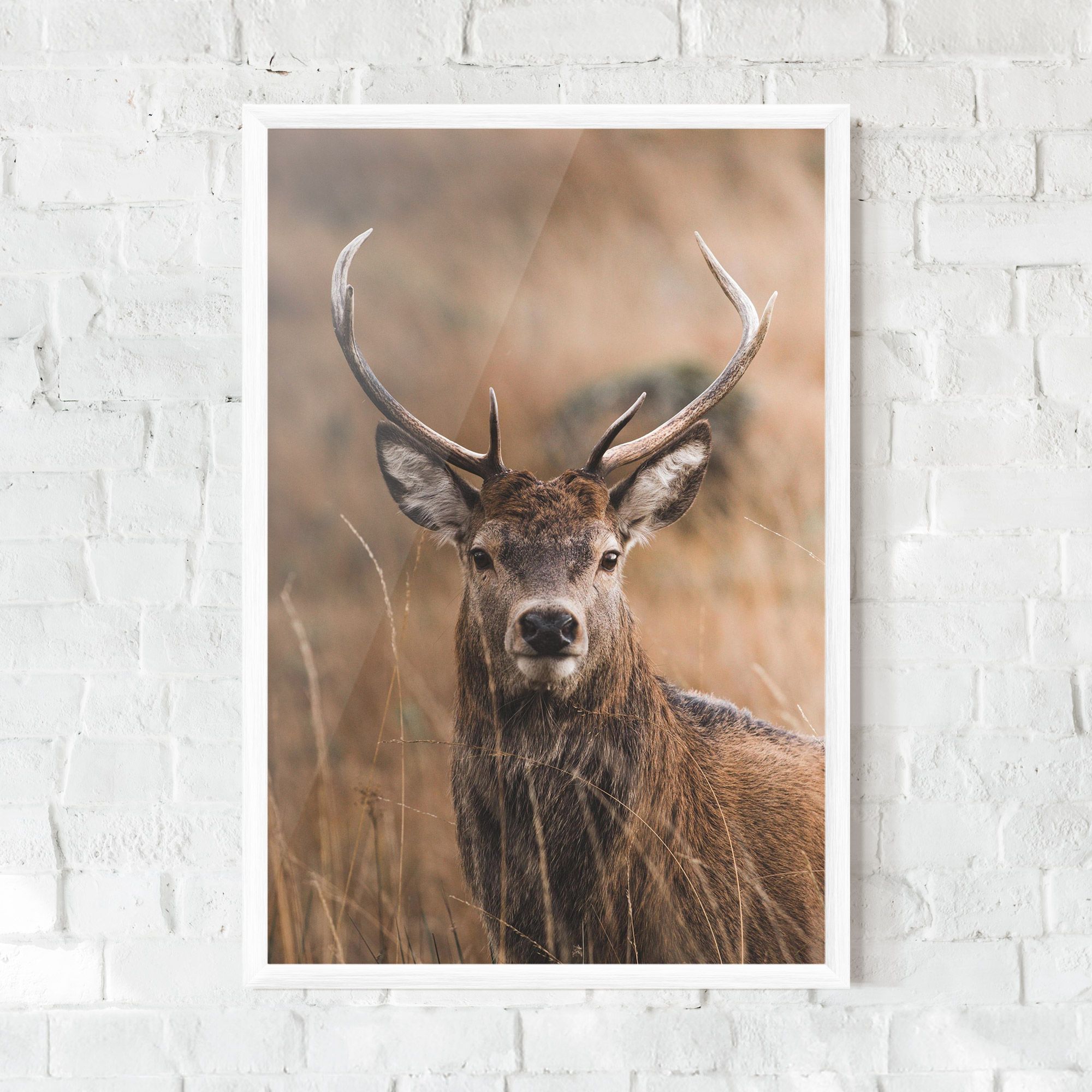 Majestic Deer mockup 0
