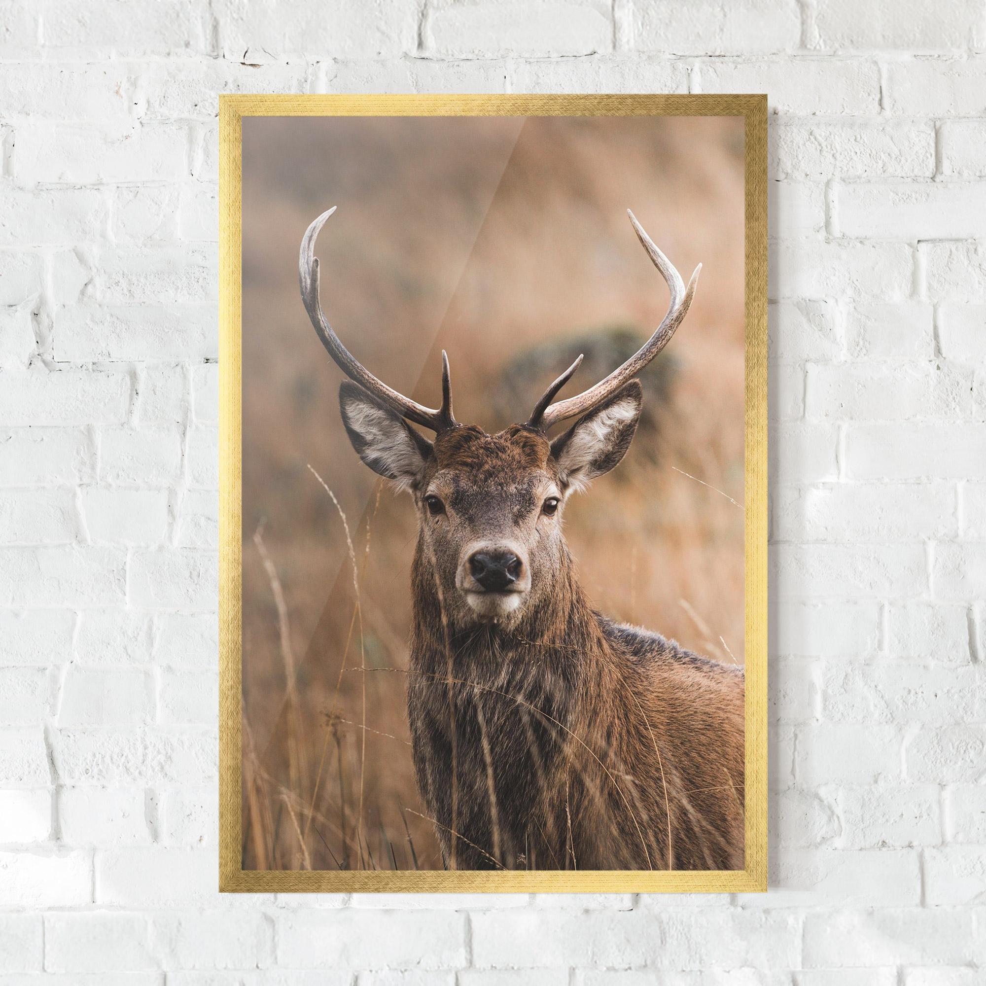 Poster Înrămat Majestic Deer mockup 0