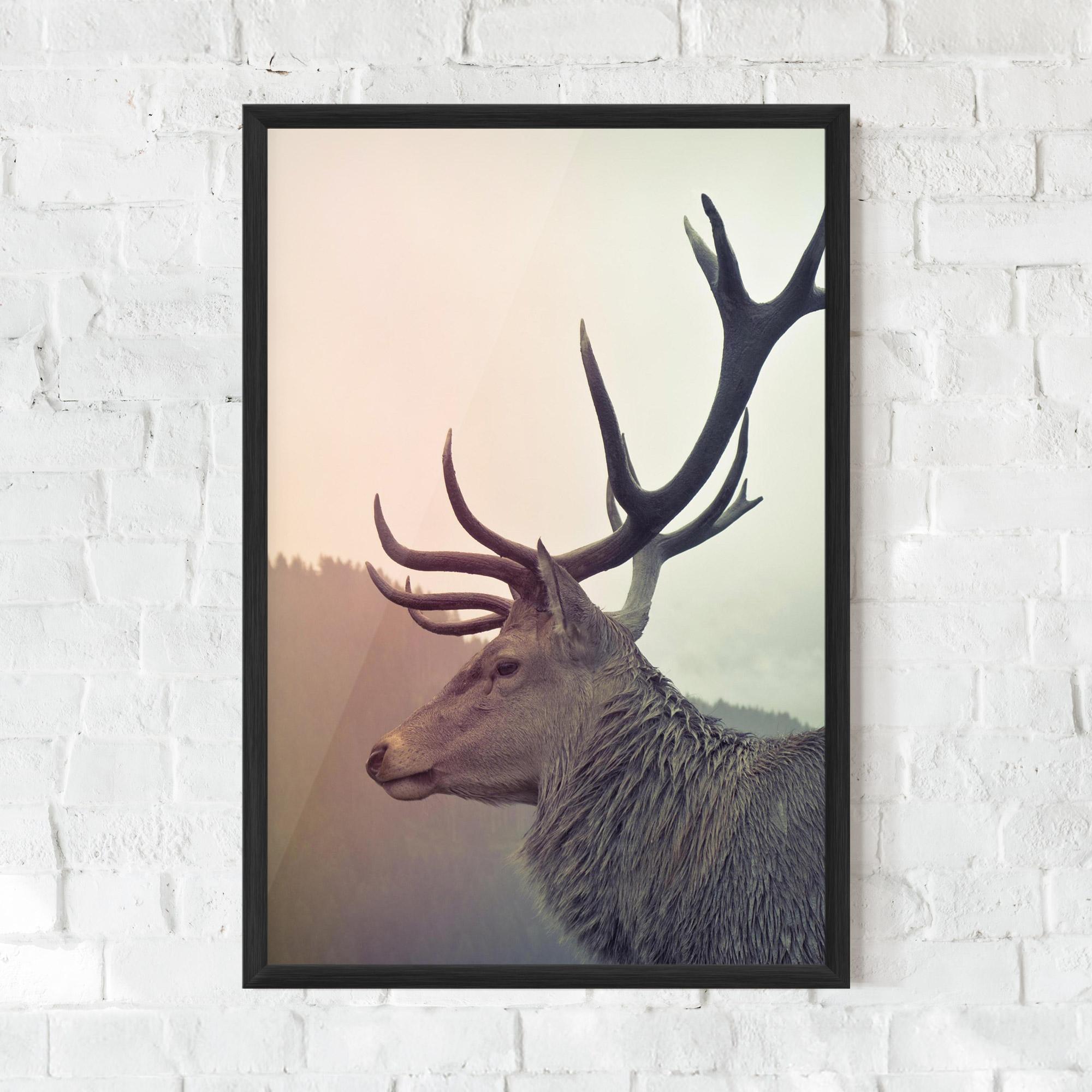 Poster Înrămat King Of The Forest mockup 0