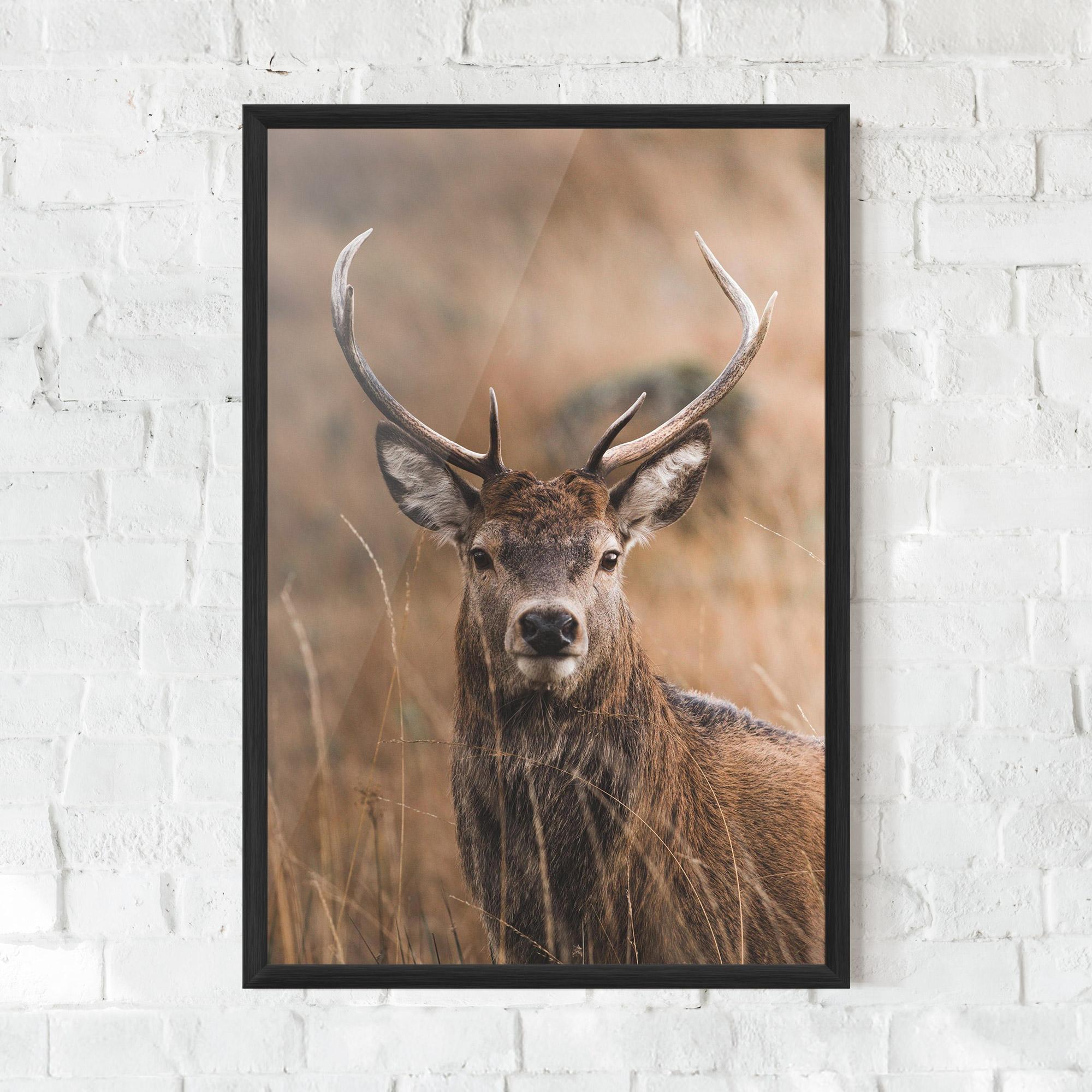 Poster Înrămat Majestic Deer mockup 0