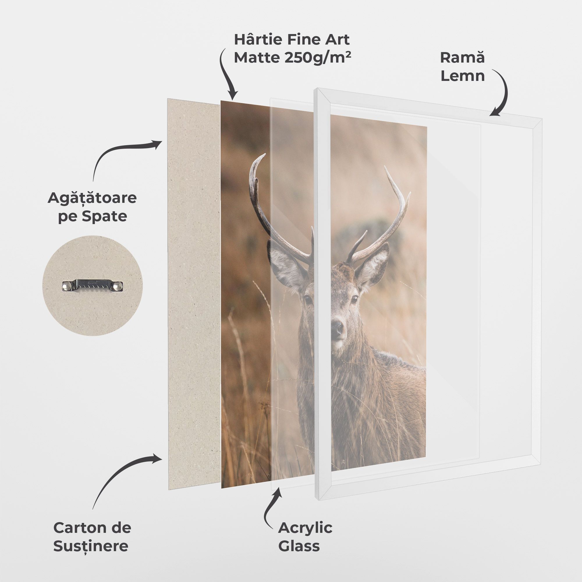 Majestic Deer mockup 1