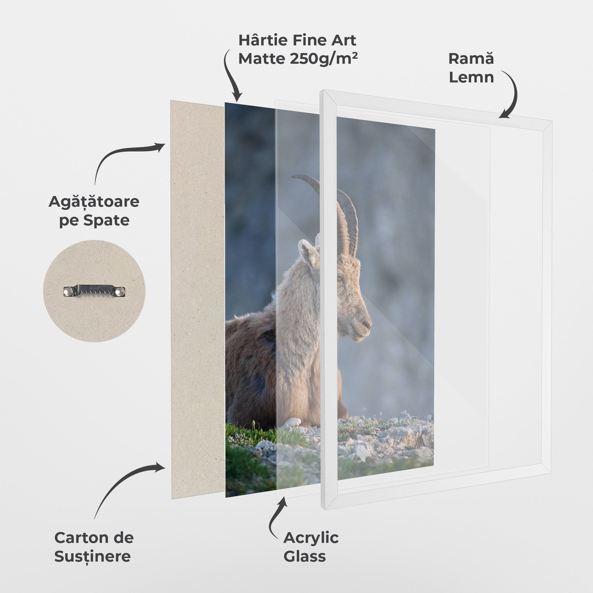 Mountain Goat mockup 1