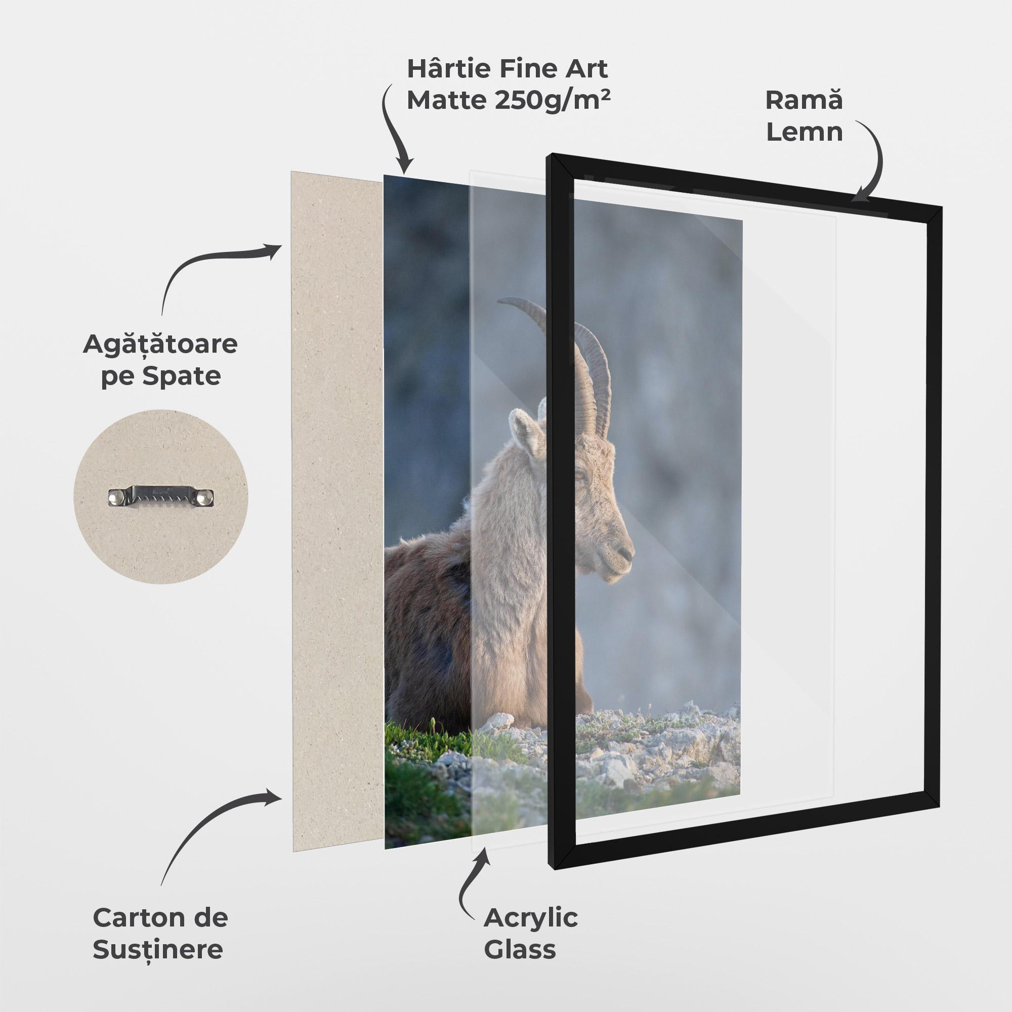 Poster Înrămat Mountain Goat mockup 1