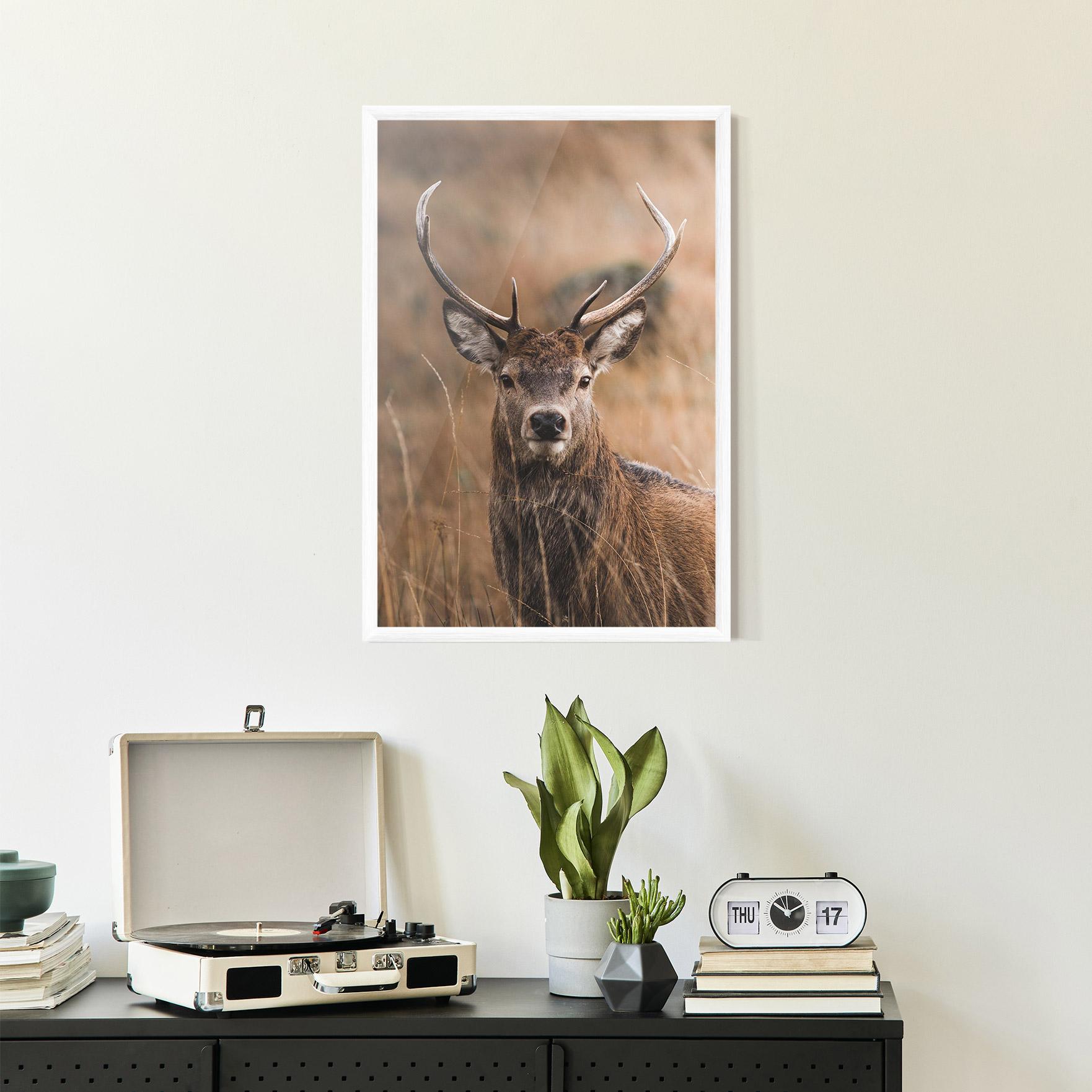Poster Înrămat Majestic Deer mockup 2