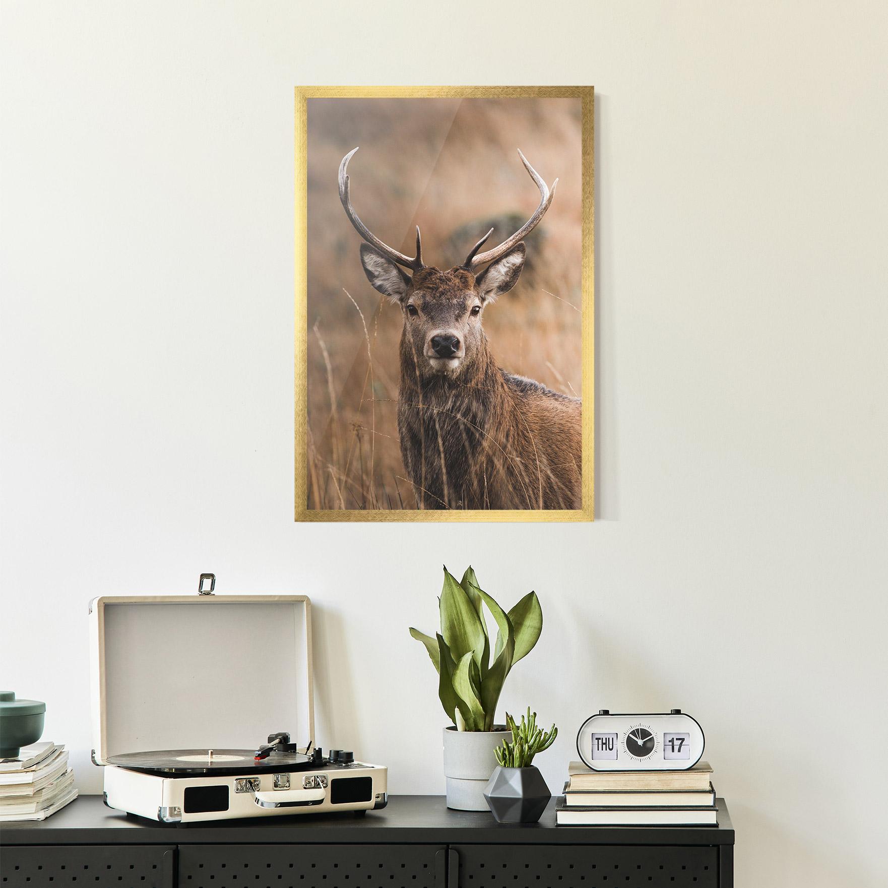 Poster Înrămat Majestic Deer mockup 2