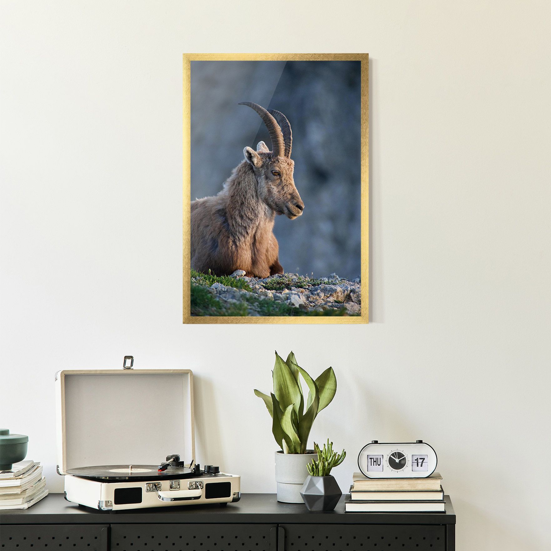Mountain Goat mockup 2