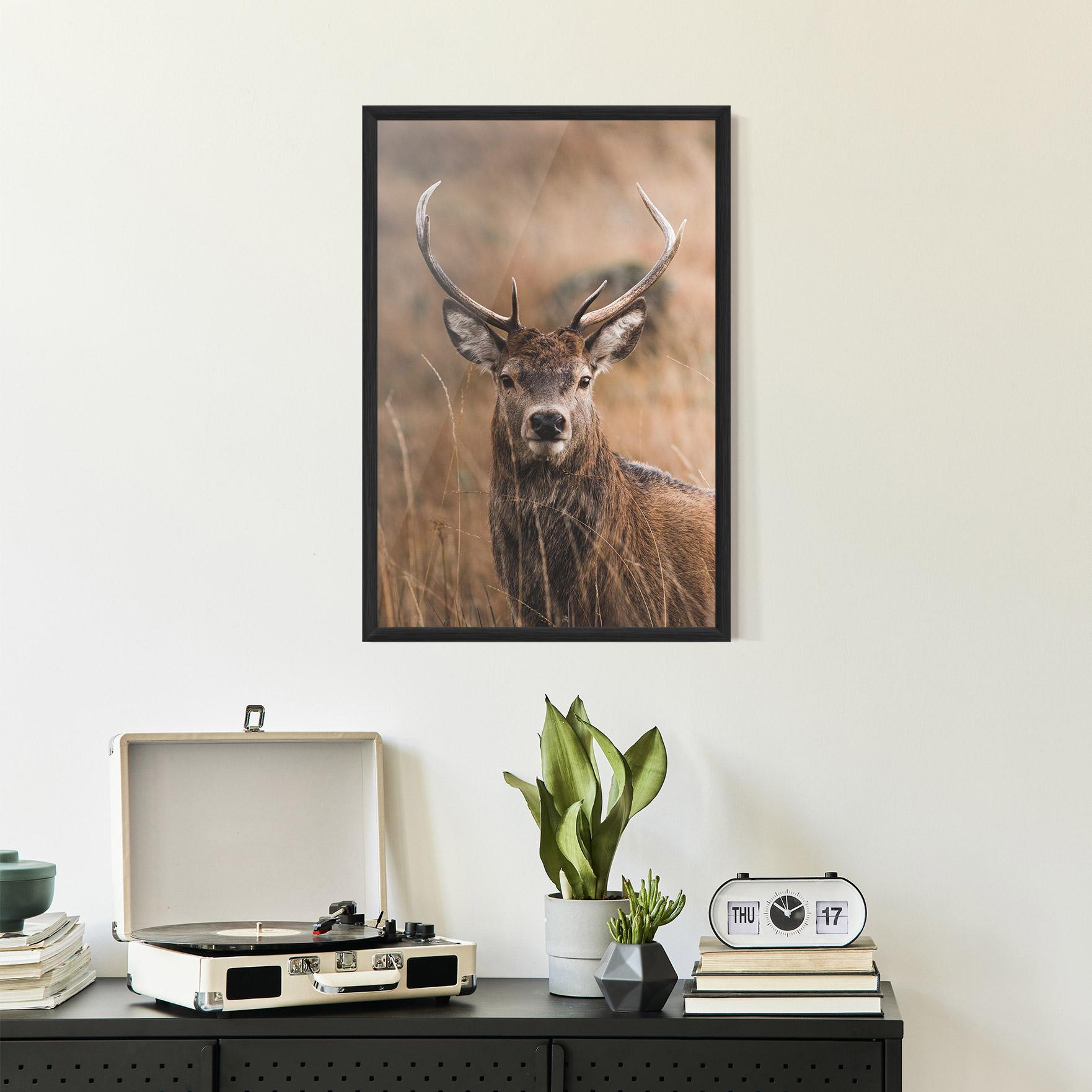Poster Înrămat Majestic Deer mockup 2