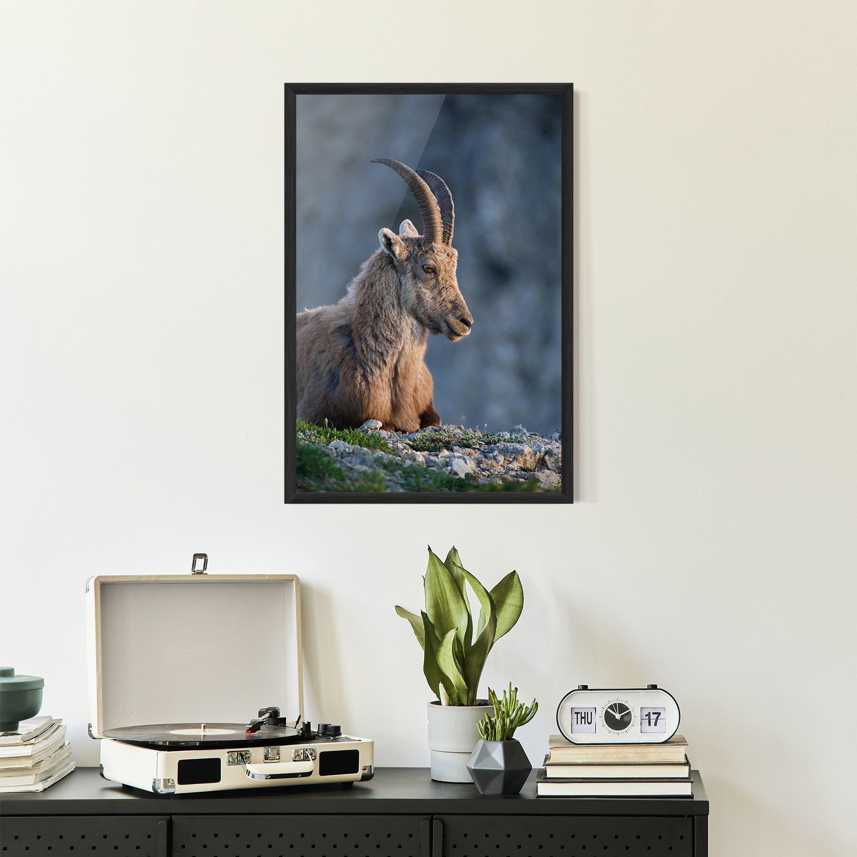 Mountain Goat mockup 2