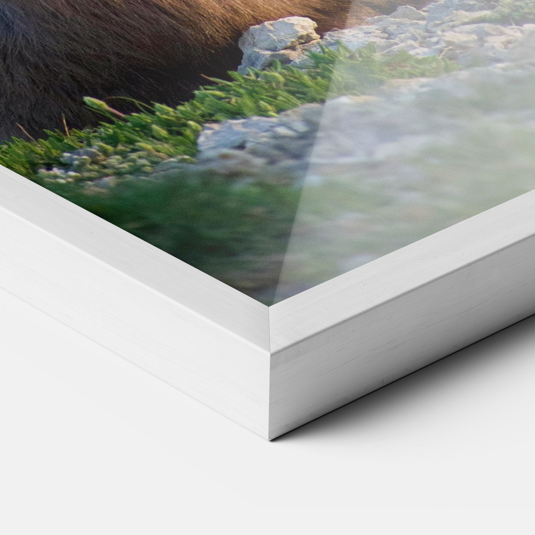 Mountain Goat mockup 3