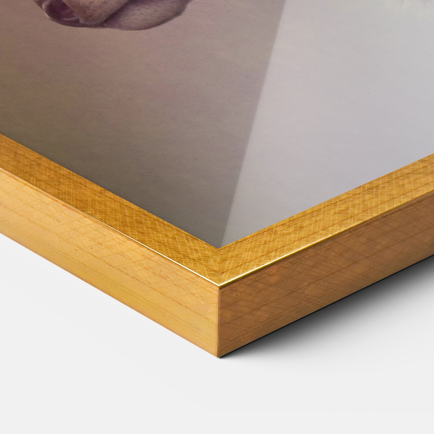 King Of The Forest mockup 3