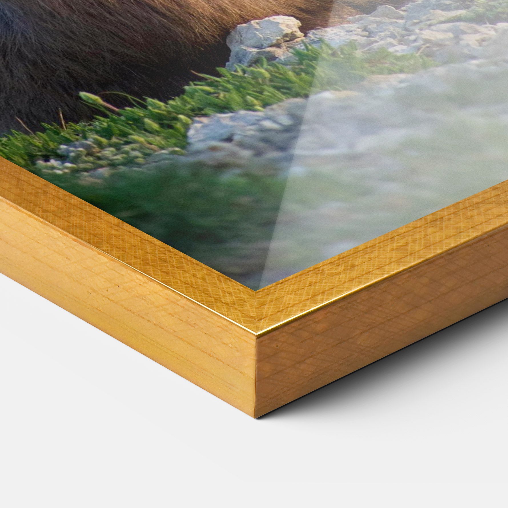 Mountain Goat mockup 3