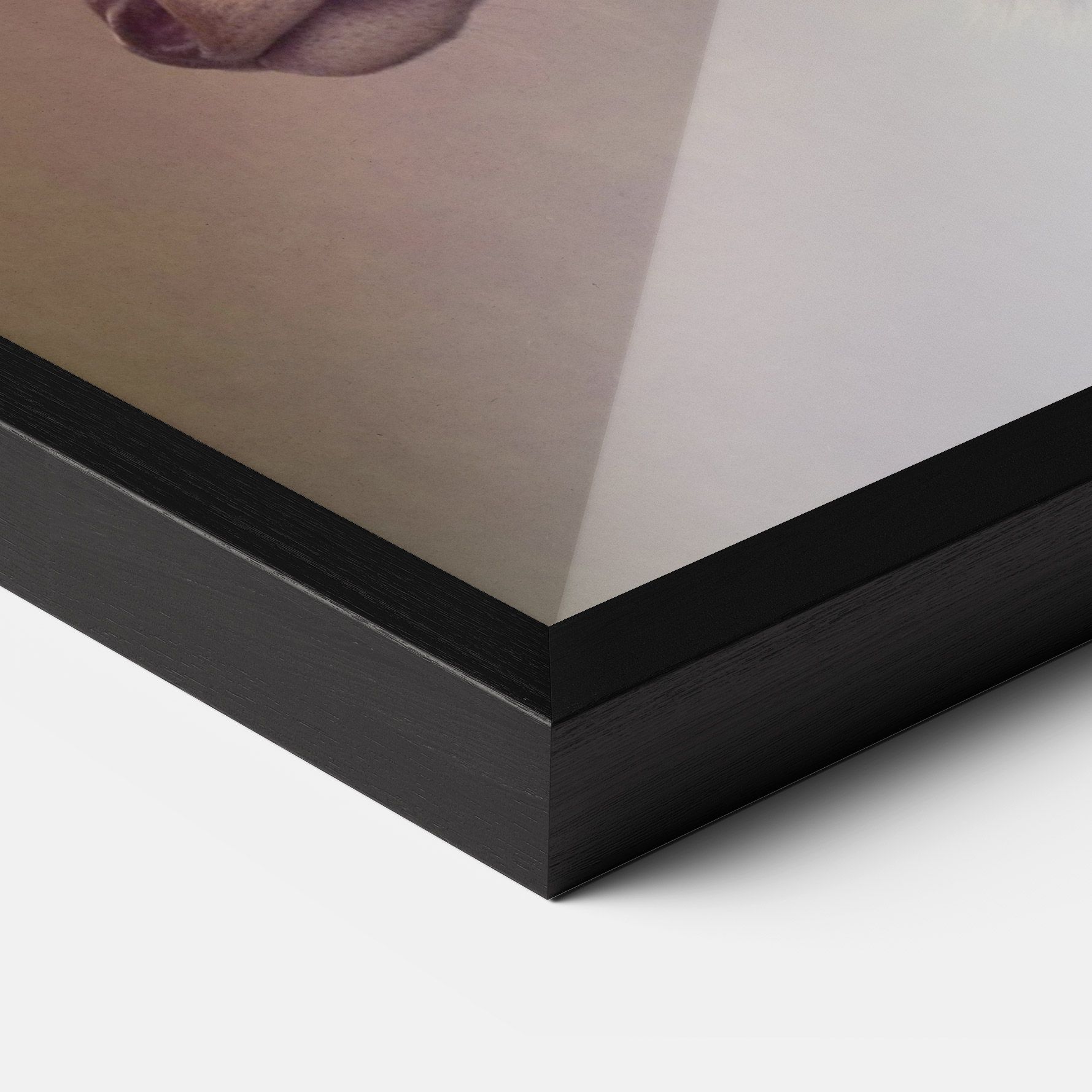 King Of The Forest mockup 3