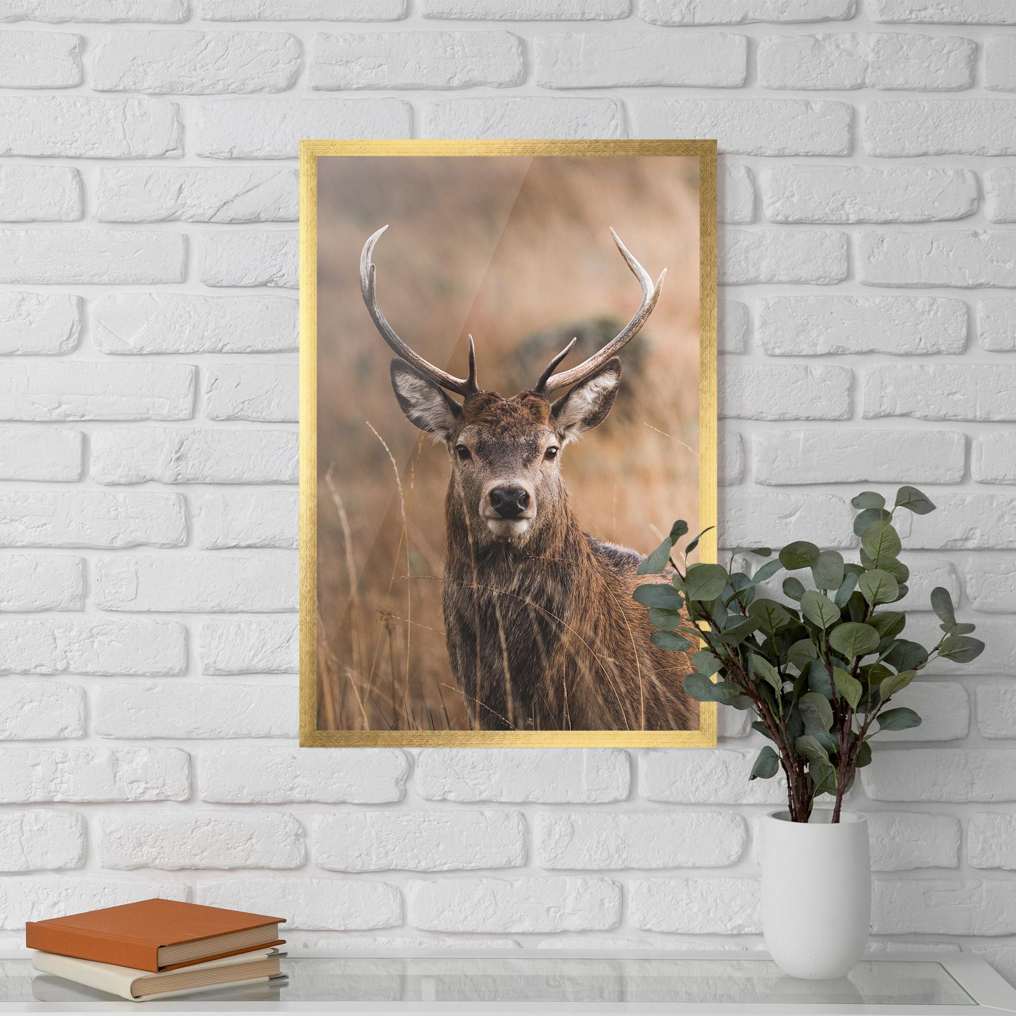 Poster Înrămat Majestic Deer mockup 5