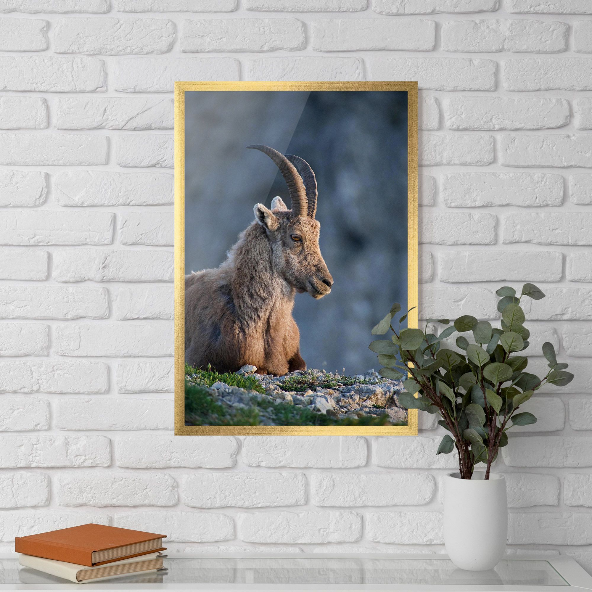 Mountain Goat mockup 5