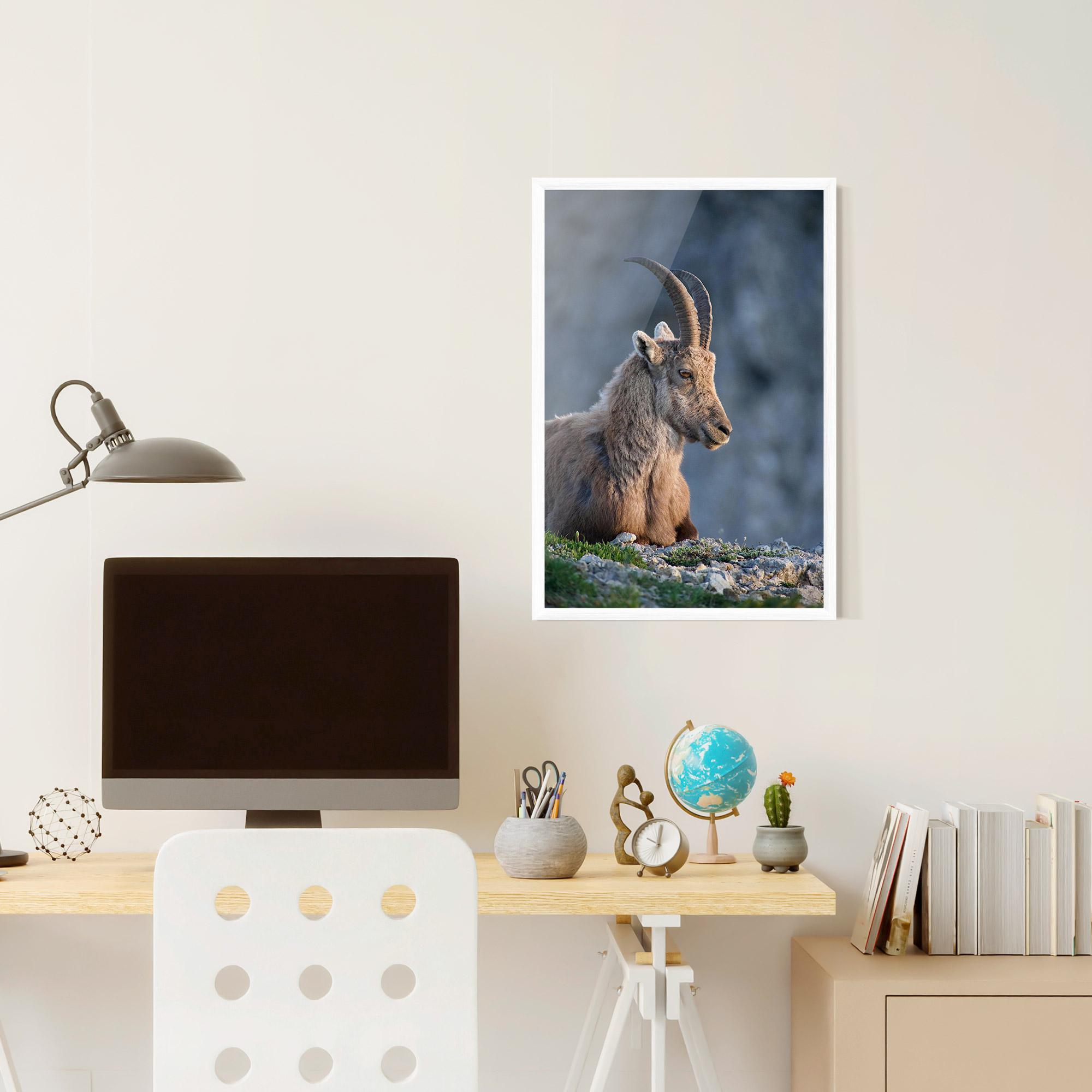 Poster Înrămat Mountain Goat mockup 6