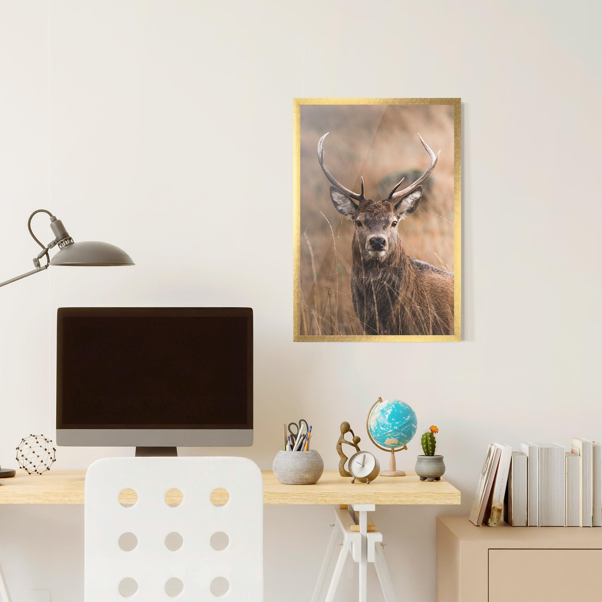 Poster Înrămat Majestic Deer mockup 6