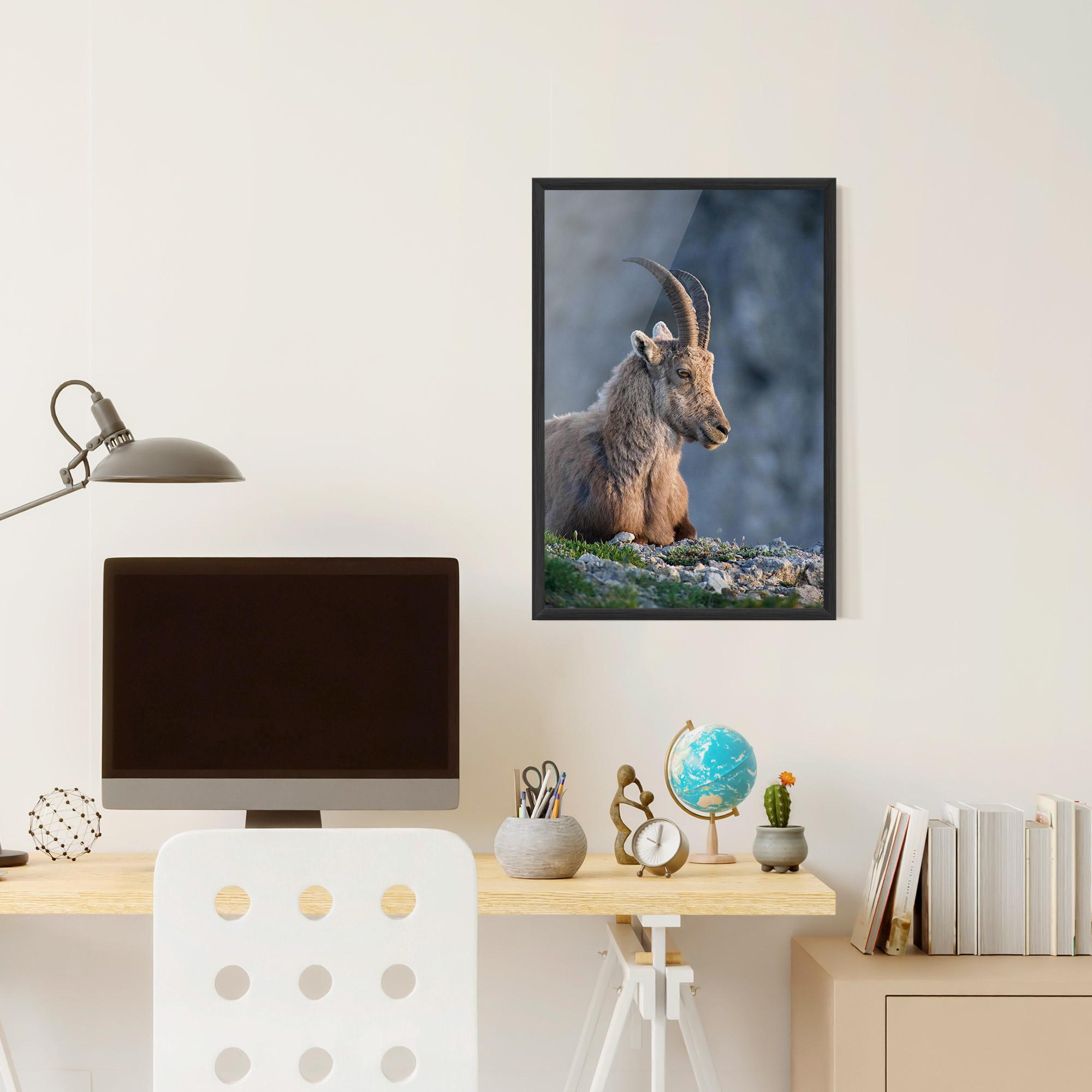 Poster Înrămat Mountain Goat mockup 6