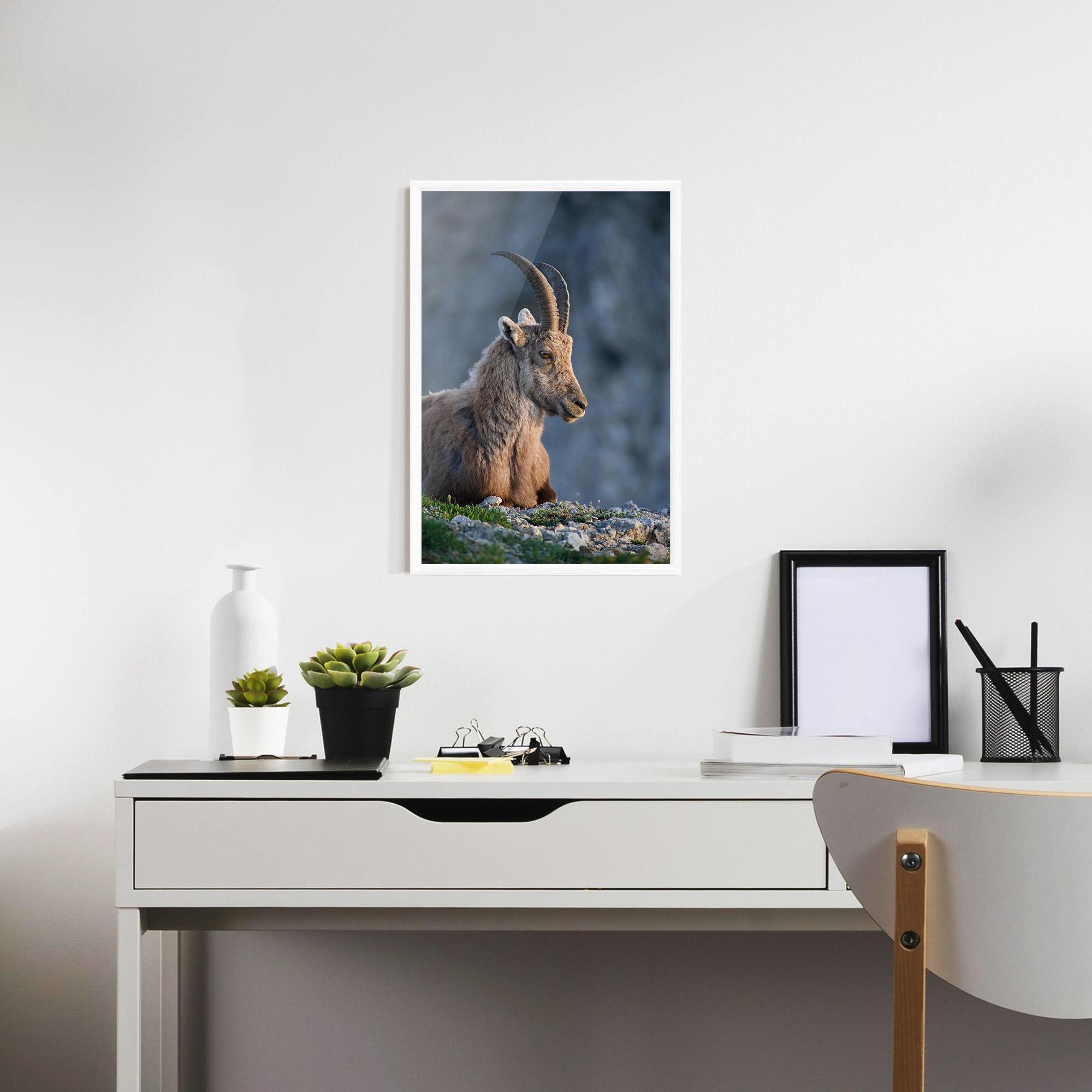 Poster Înrămat Mountain Goat mockup 7