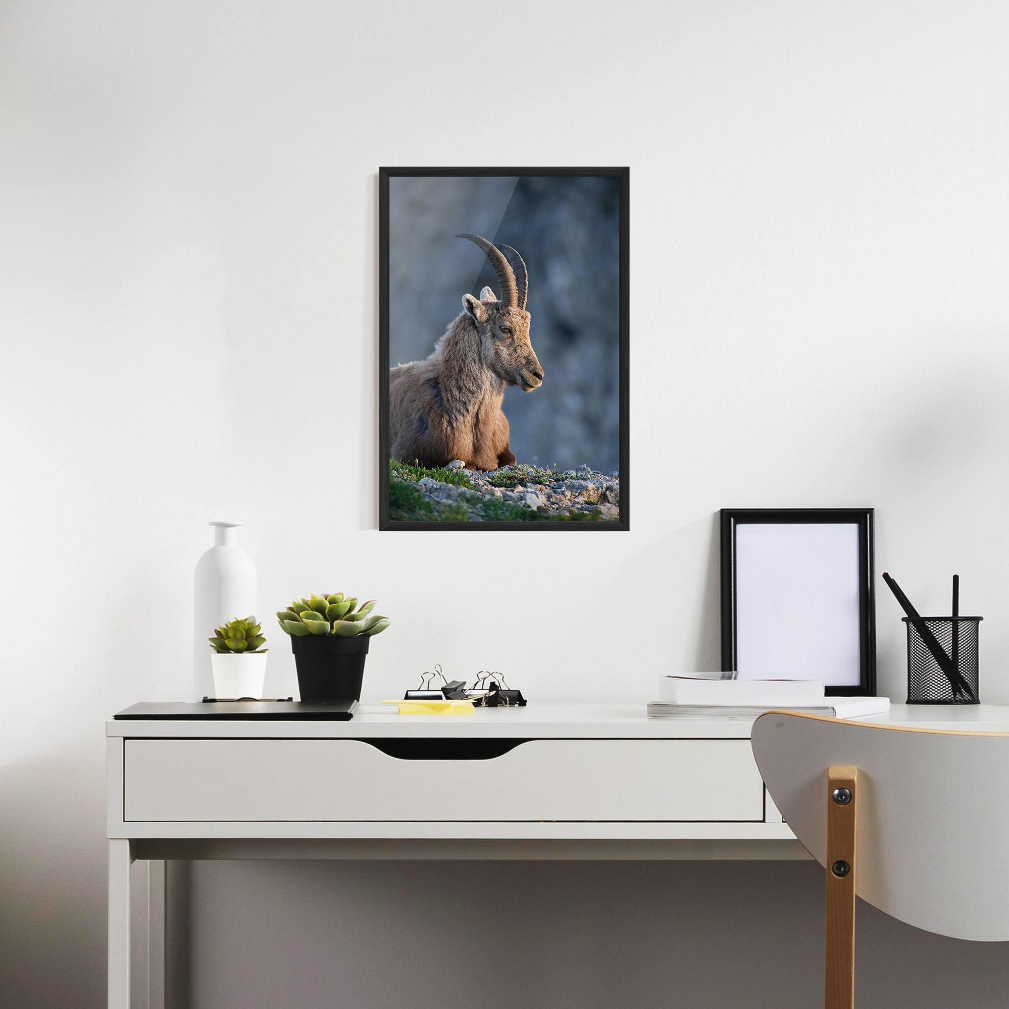 Poster Înrămat Mountain Goat mockup 7