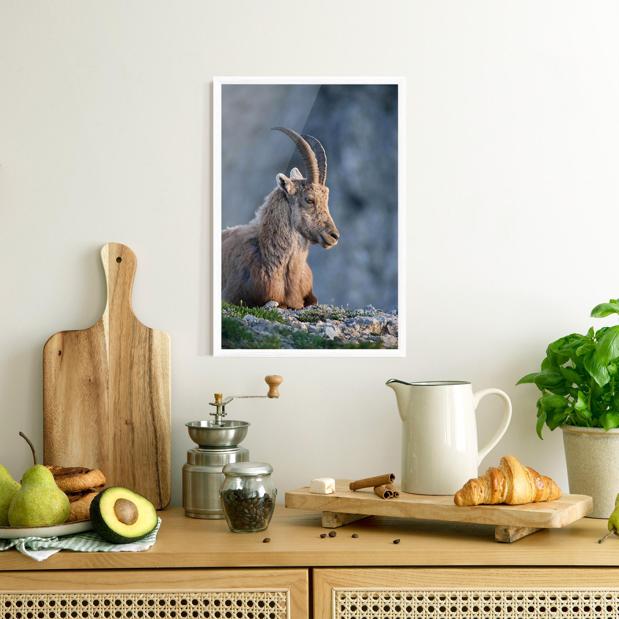 Poster Înrămat Mountain Goat mockup 8