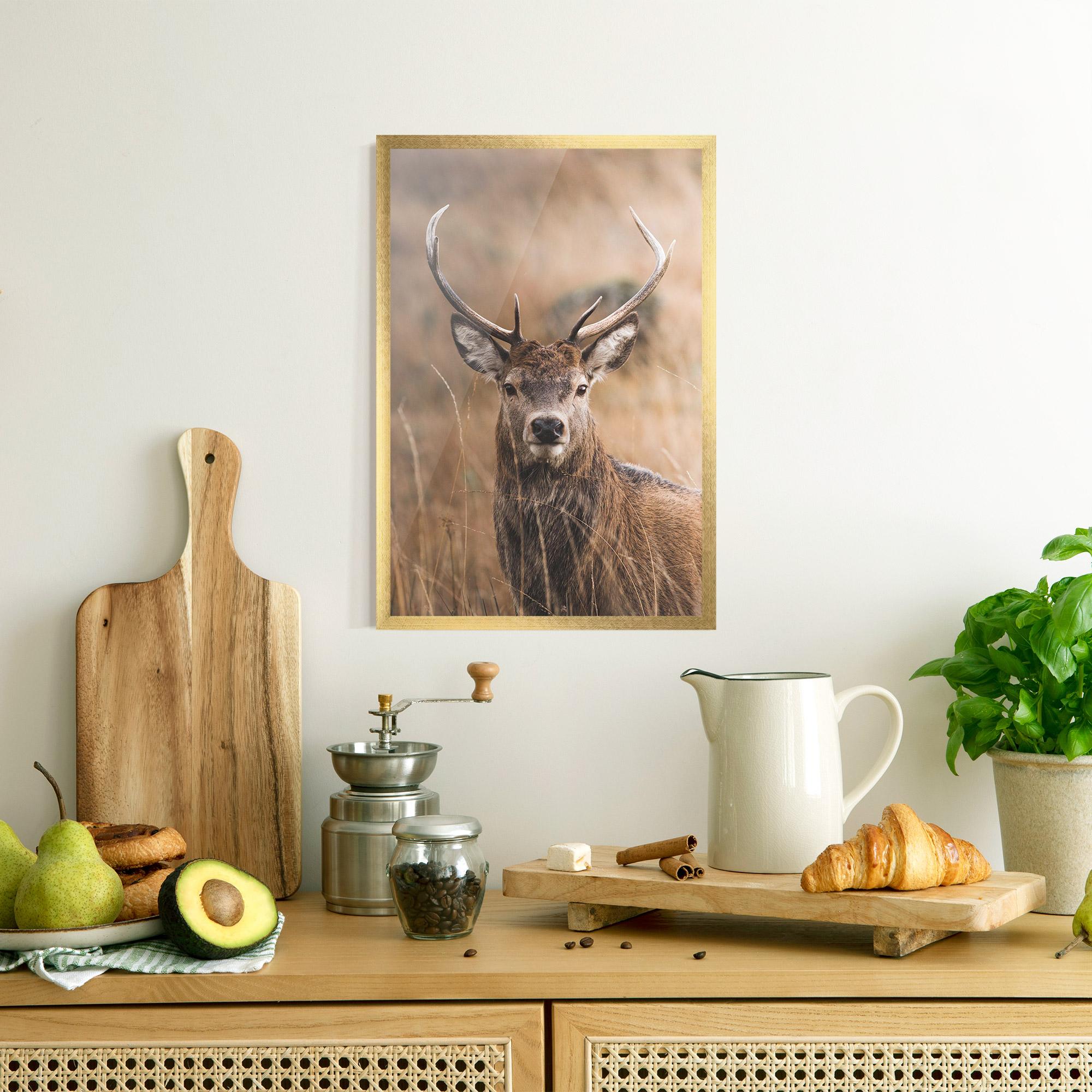 Poster Înrămat Majestic Deer mockup 8