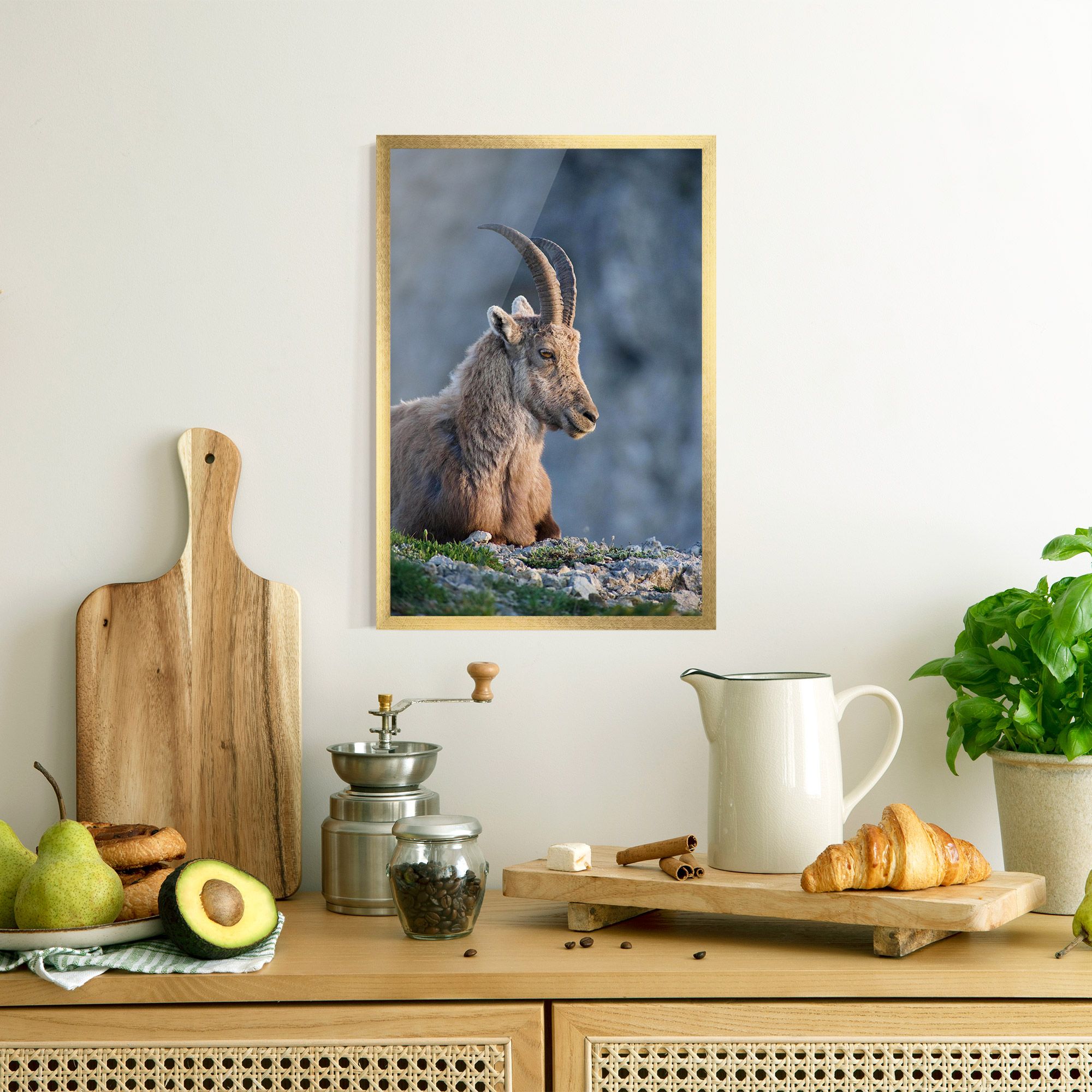 Mountain Goat mockup 8