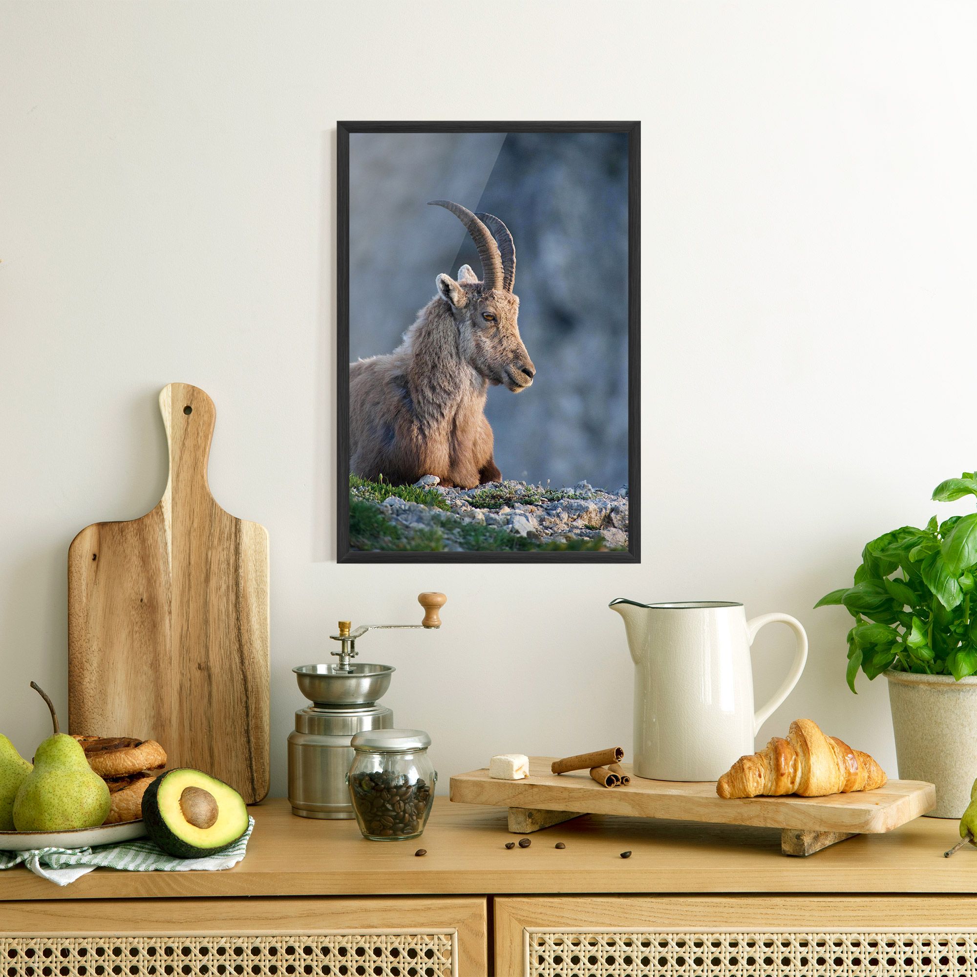 Mountain Goat mockup 8