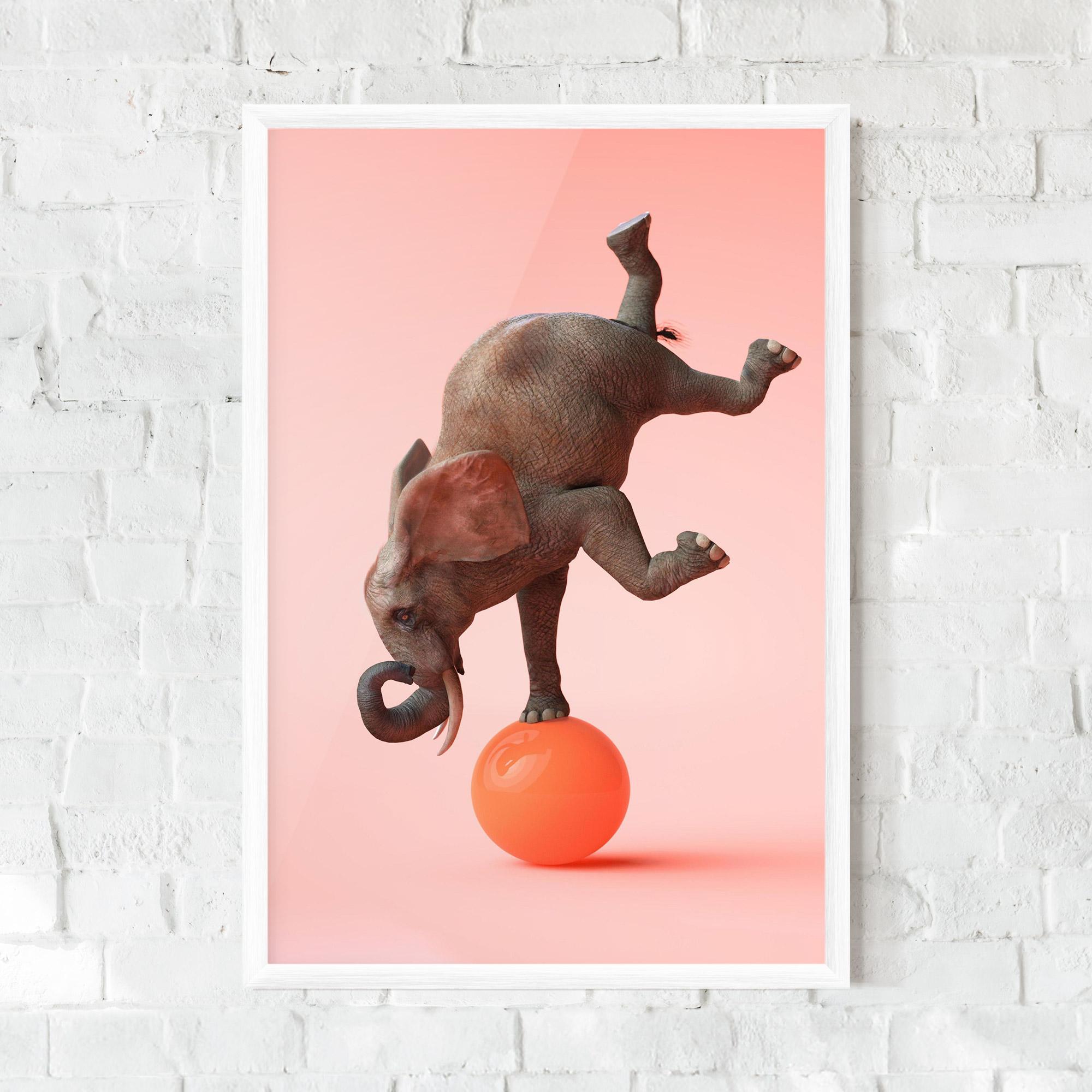 Poster Înrămat Ball Elephant mockup 0