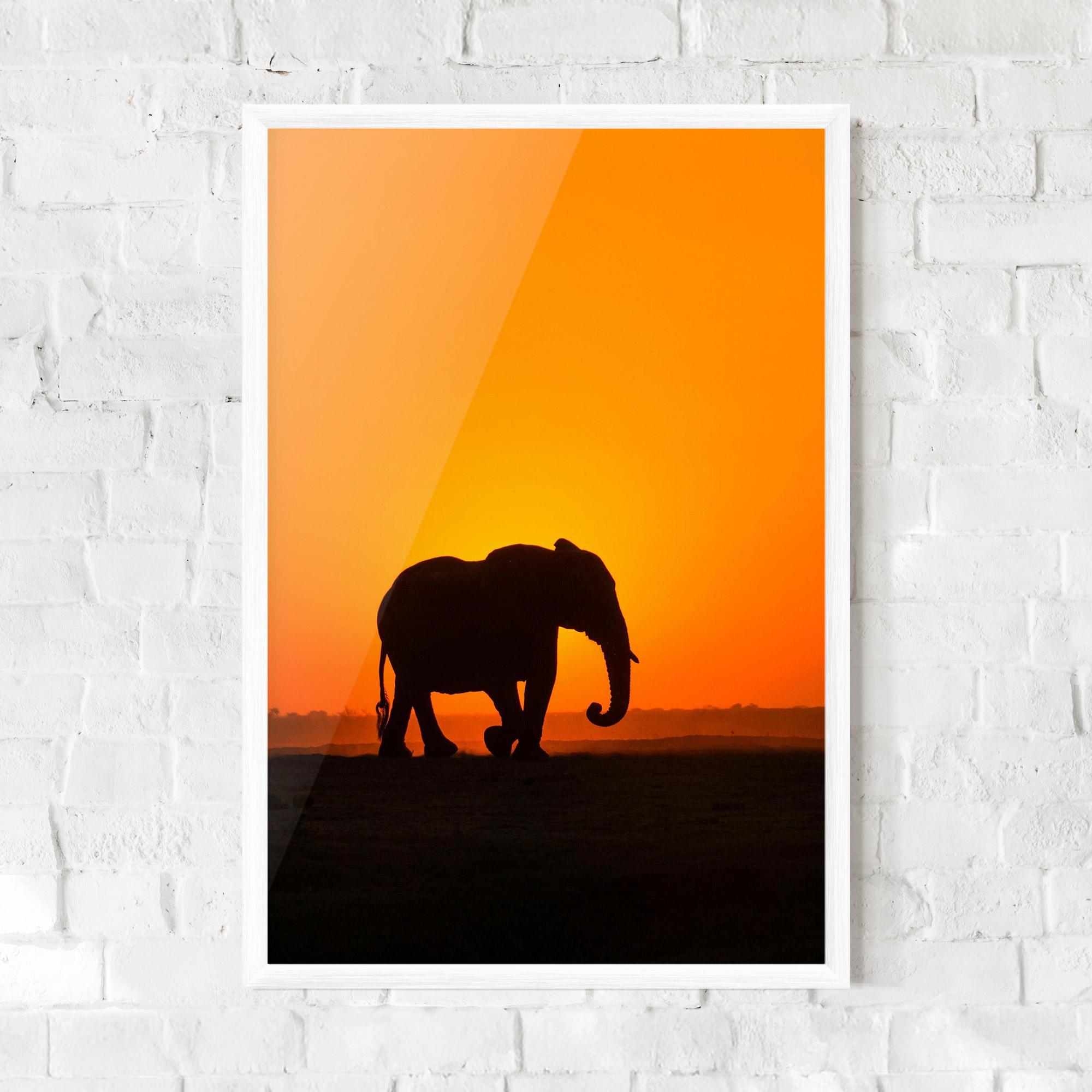 Poster Înrămat Beautiful Elephant mockup 0