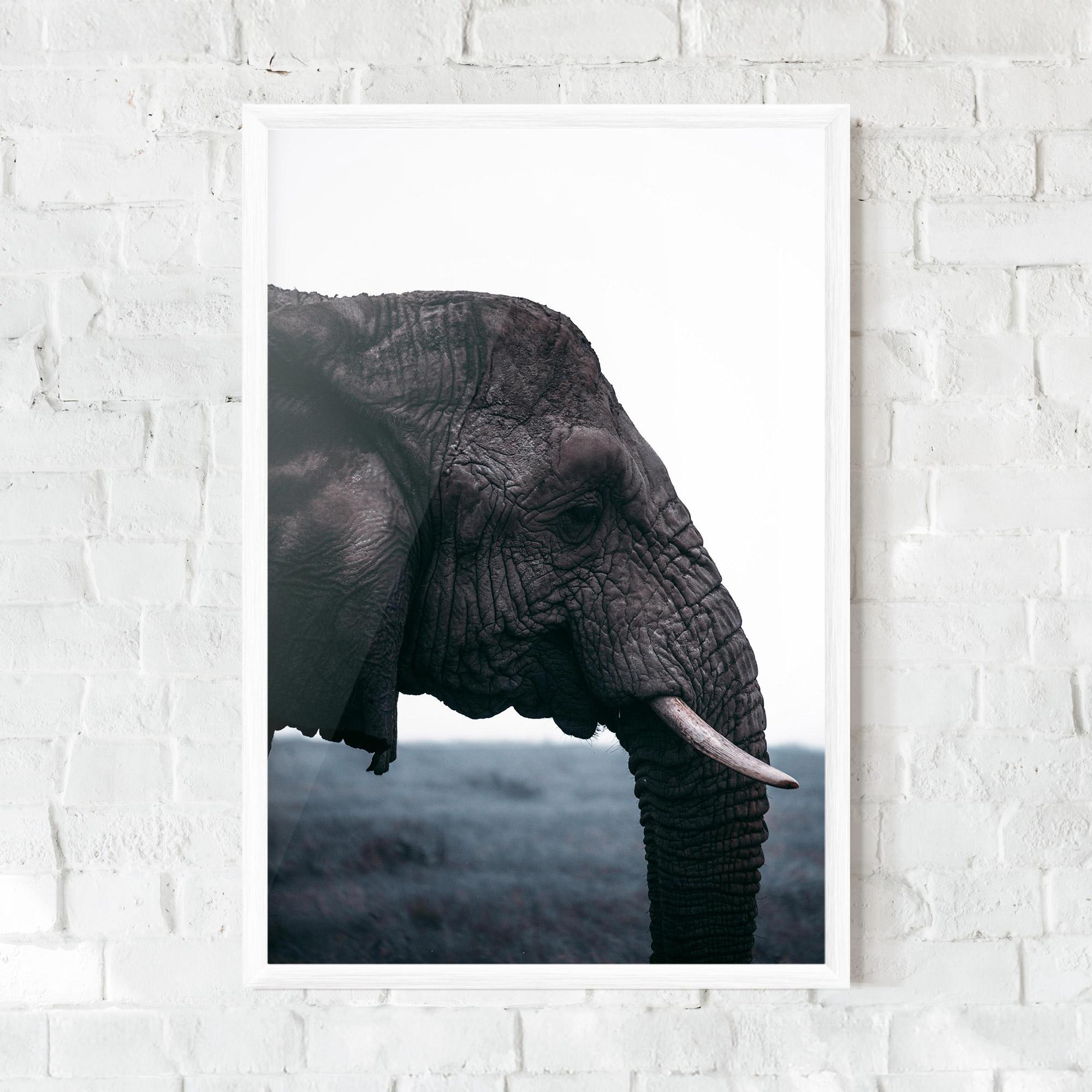 Poster Înrămat Close Grey Eelephant mockup 0