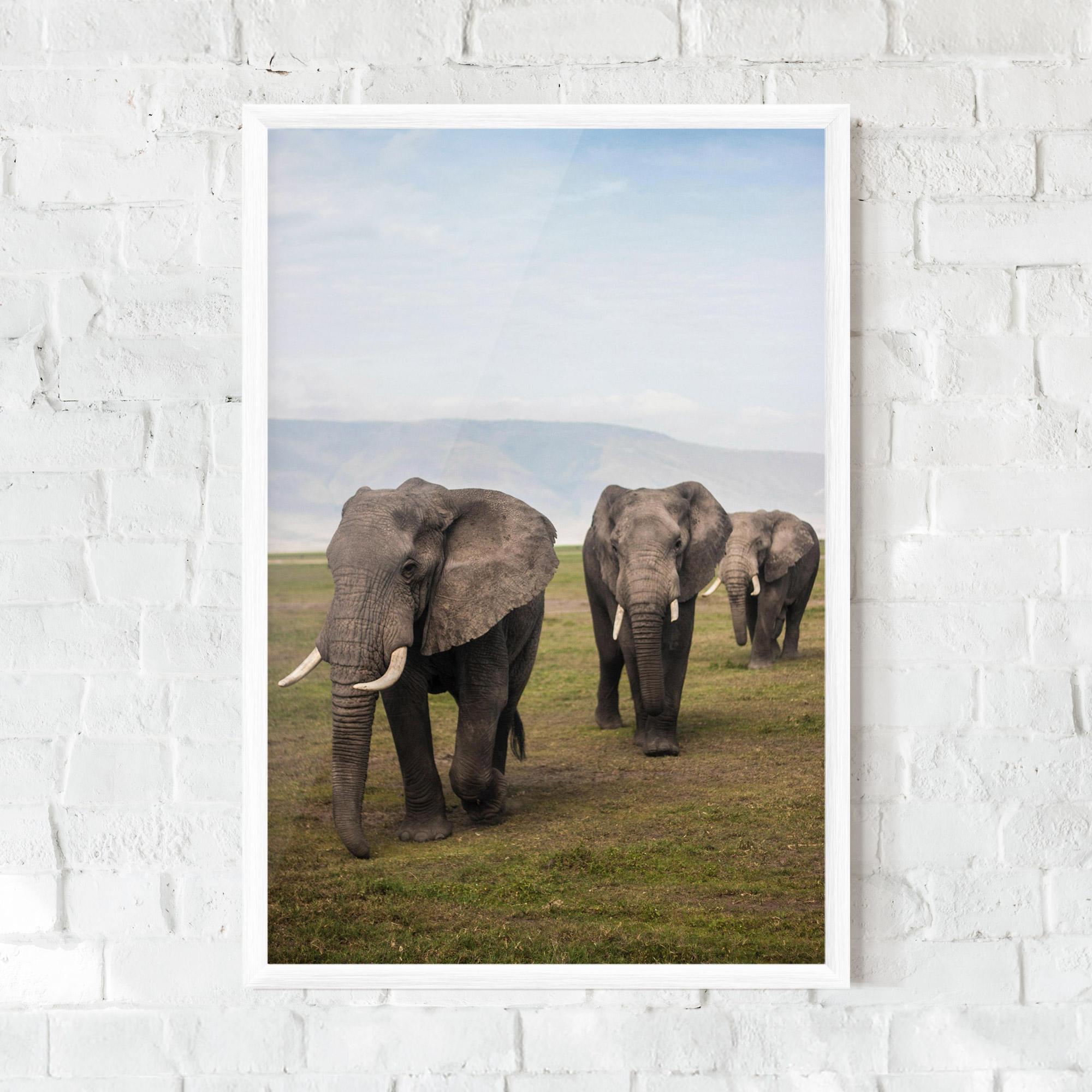 Poster Înrămat Elephant Landscape mockup 0