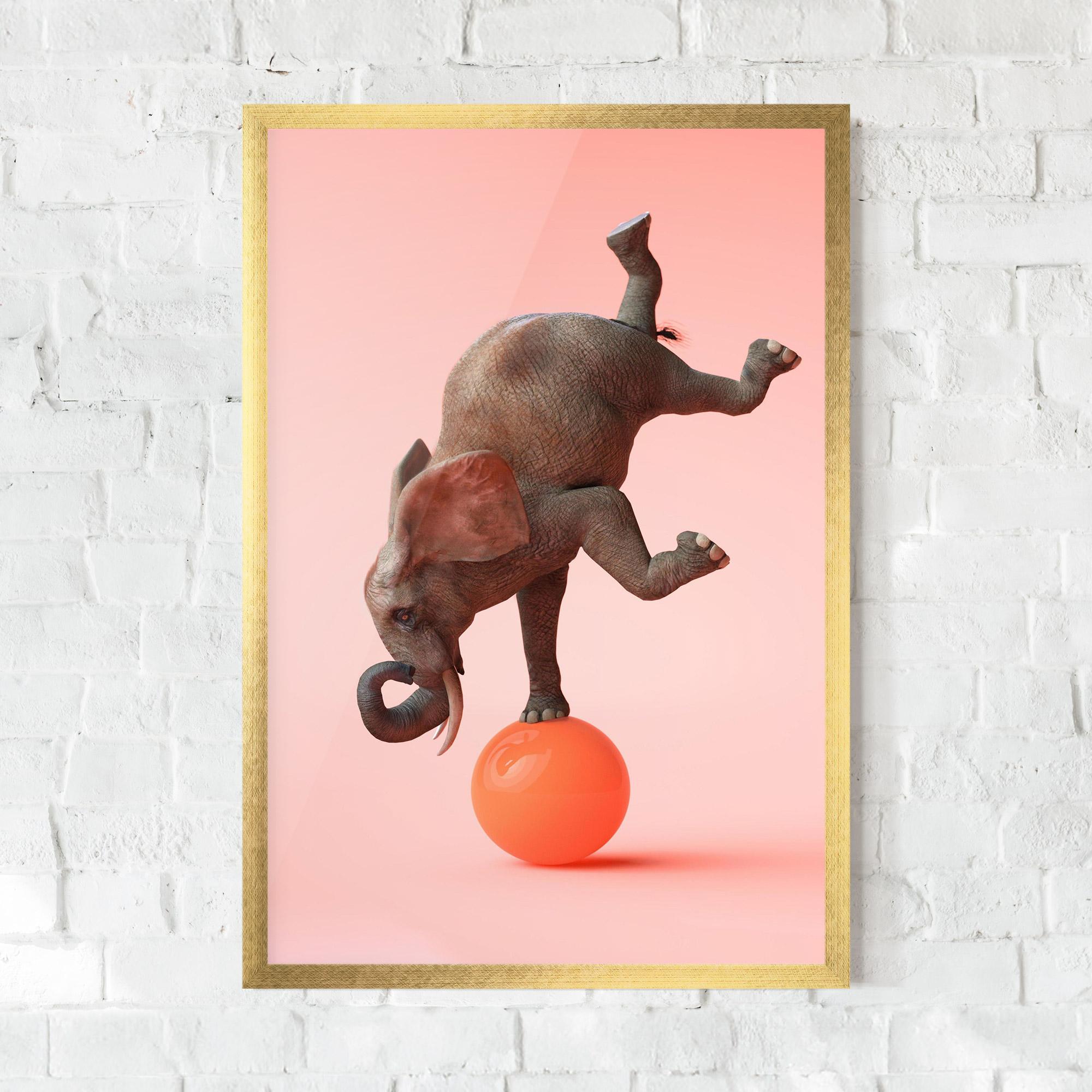 Poster Înrămat Ball Elephant mockup 0
