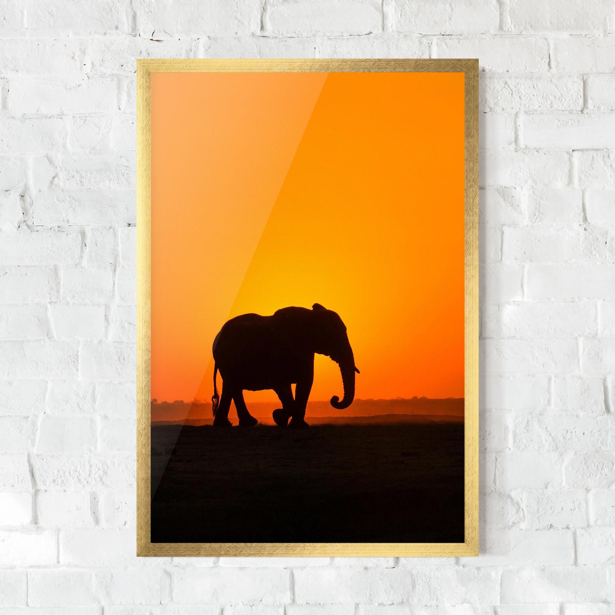 Poster Înrămat Beautiful Elephant mockup 0