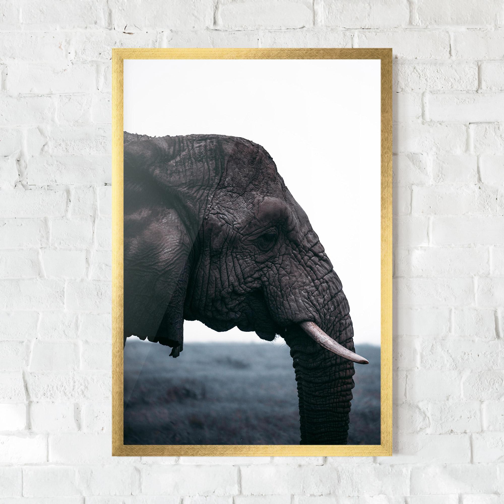 Poster Înrămat Close Grey Eelephant mockup 0