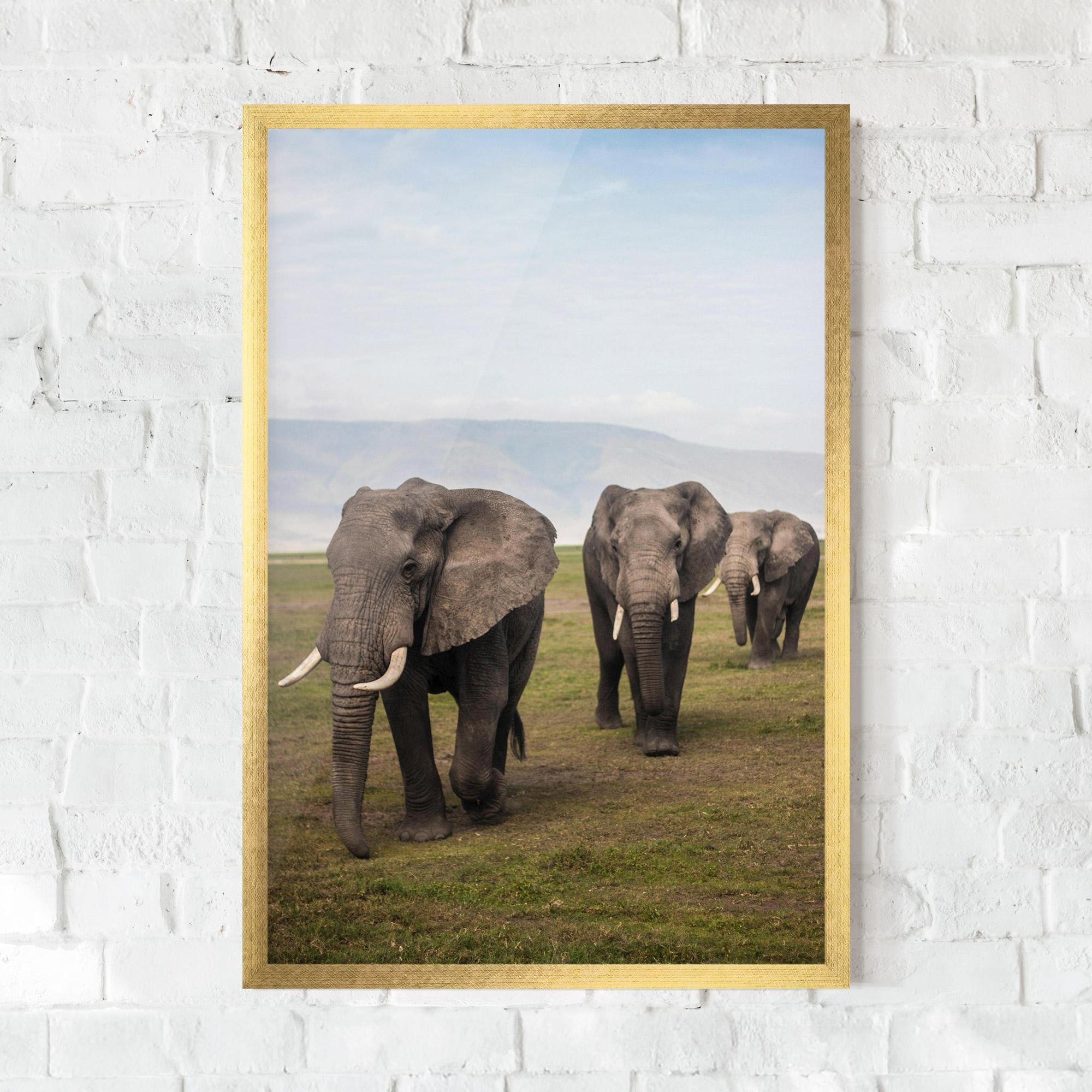 Poster Înrămat Elephant Landscape mockup 0