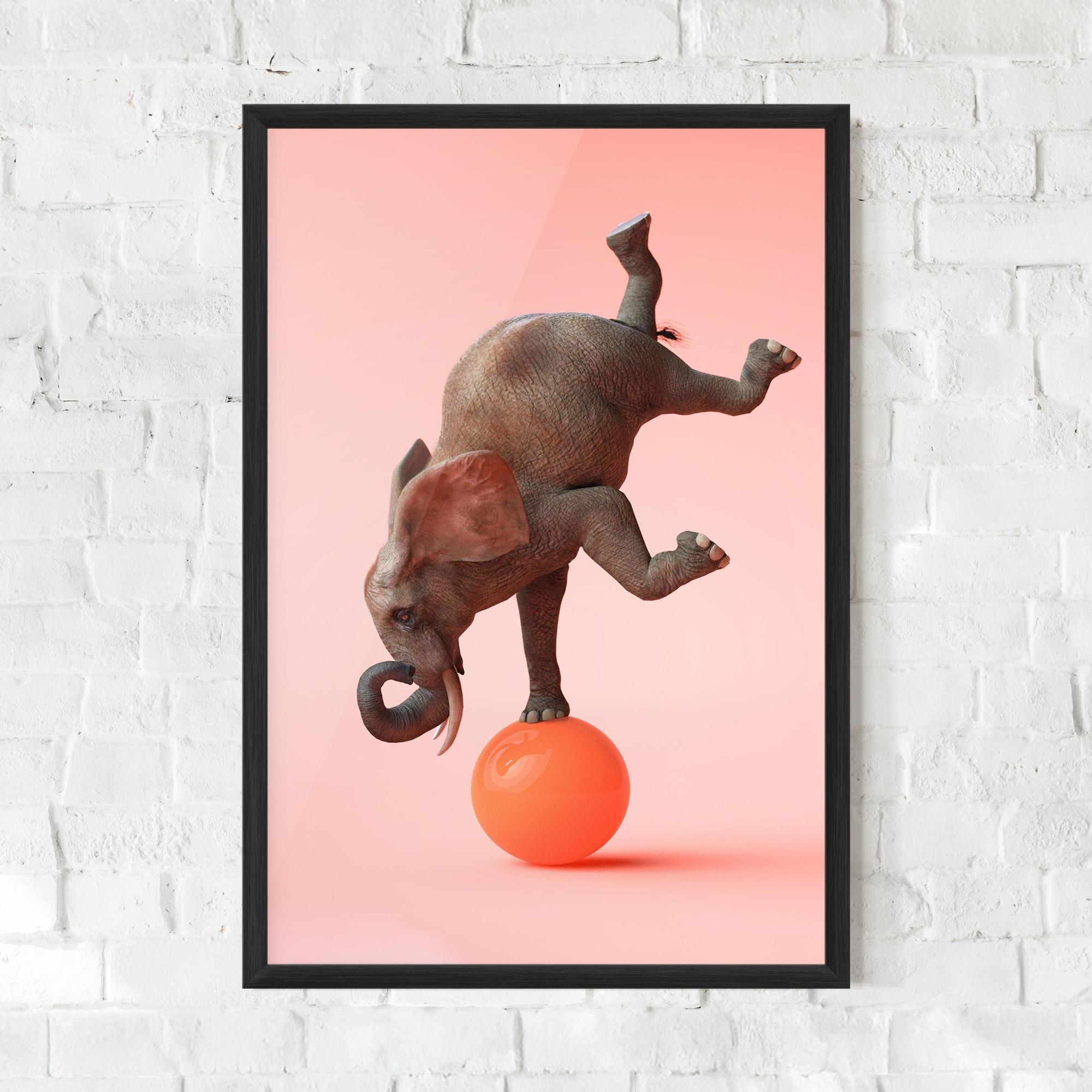 Poster Înrămat Ball Elephant mockup 0