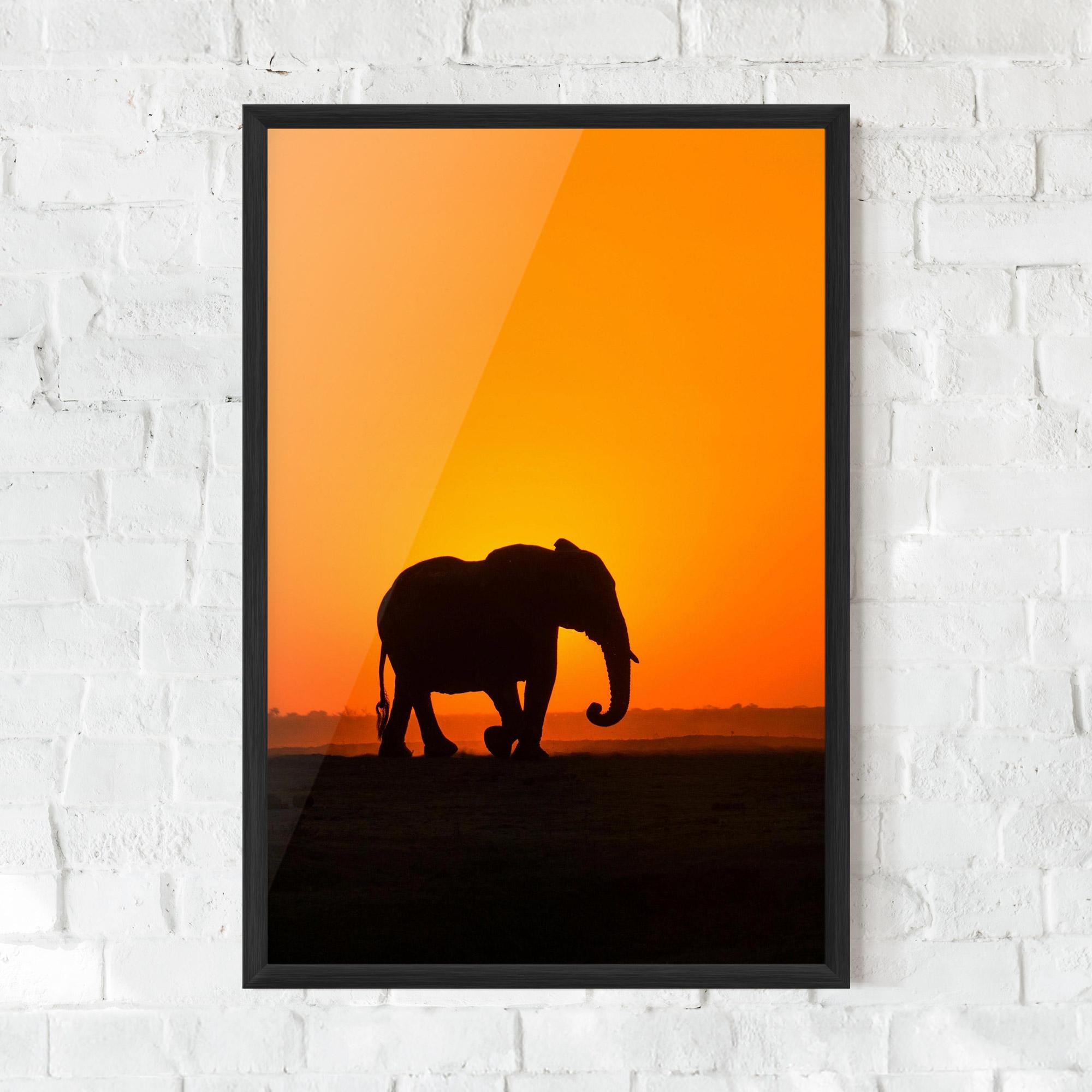 Poster Înrămat Beautiful Elephant mockup 0