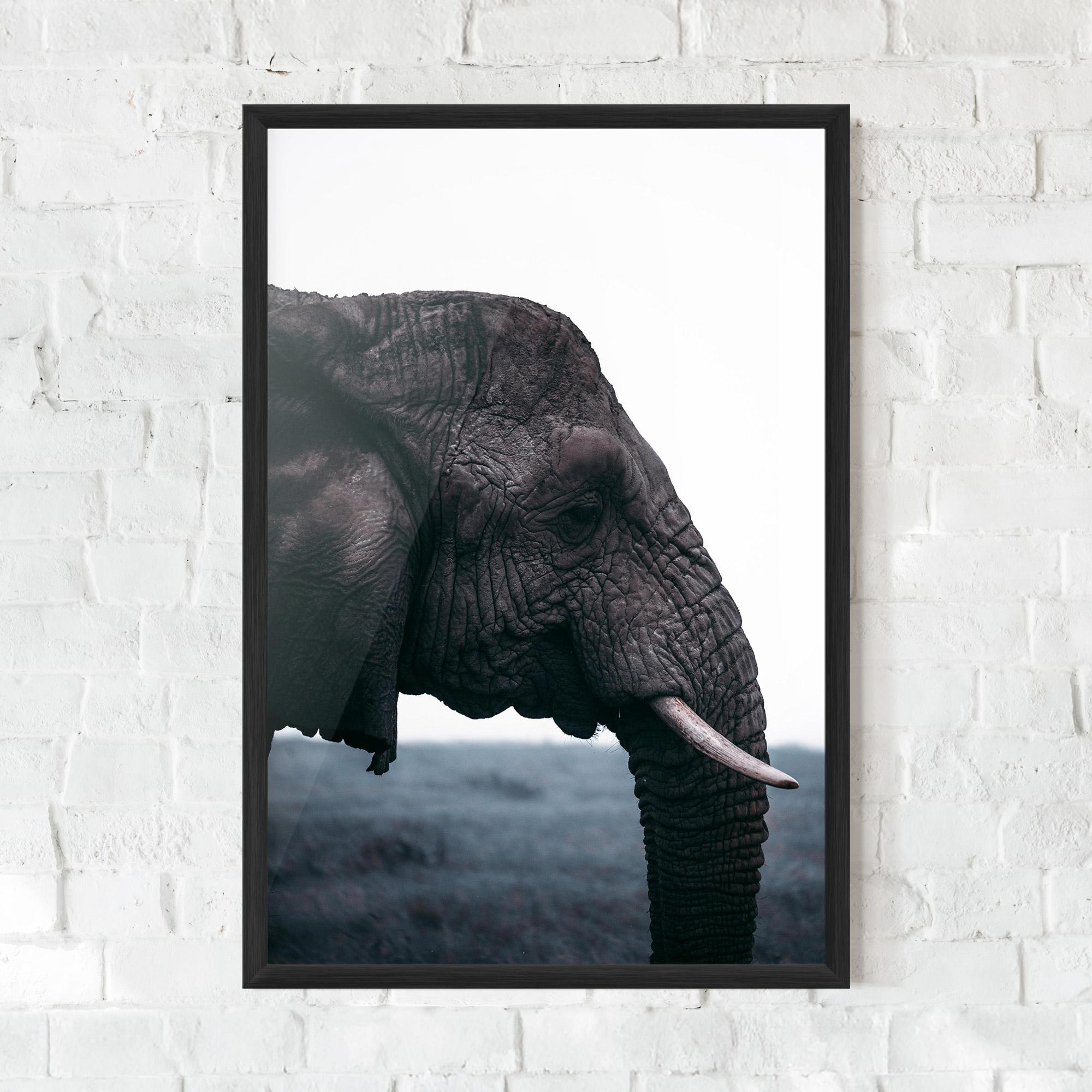 Poster Înrămat Close Grey Eelephant mockup 0