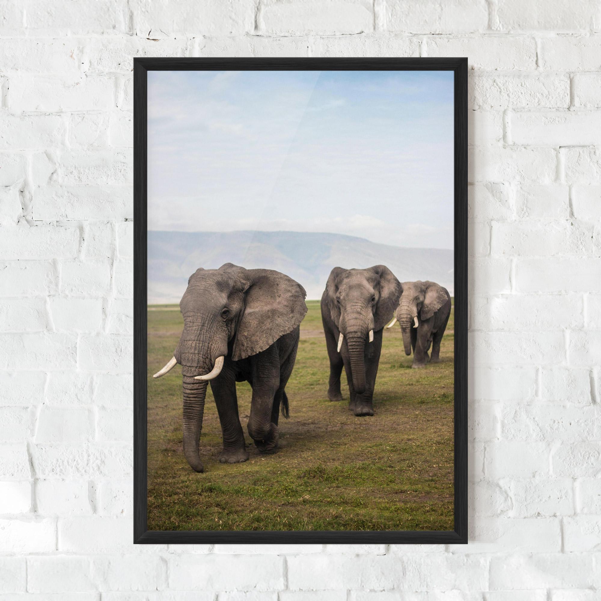 Poster Înrămat Elephant Landscape mockup 0