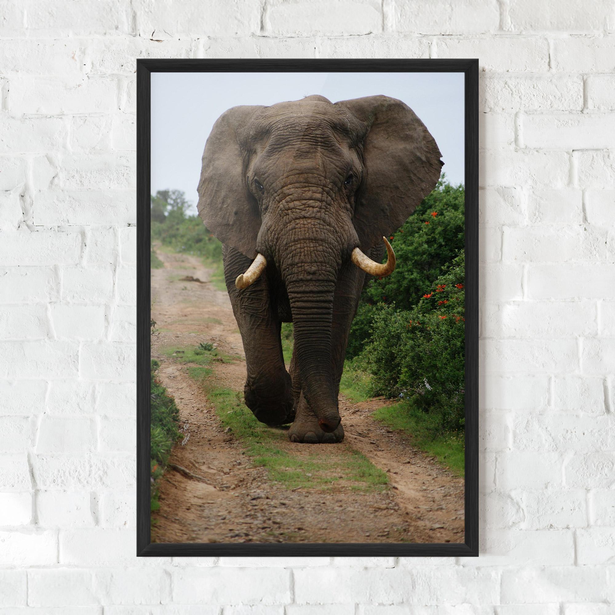 Poster Înrămat Elephant Safari mockup 0