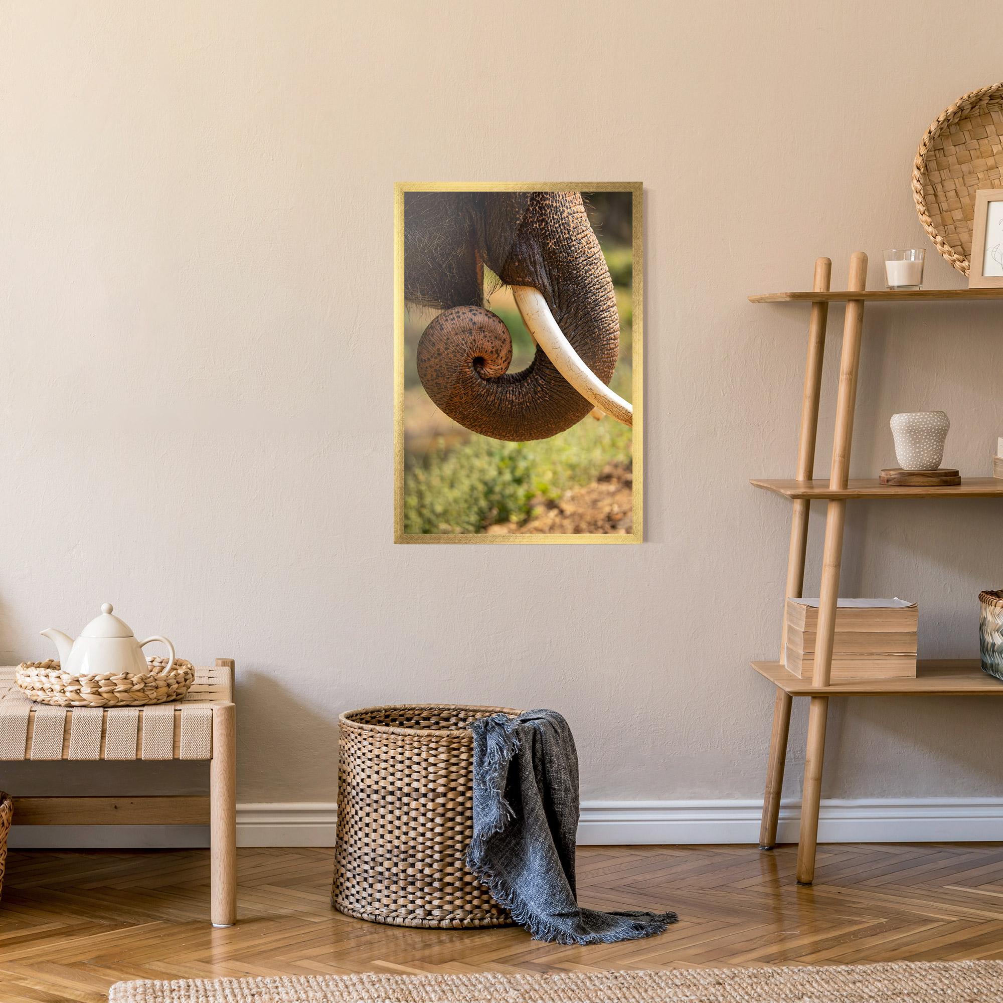 Poster Înrămat Elephant Mouth Close Up mockup 9