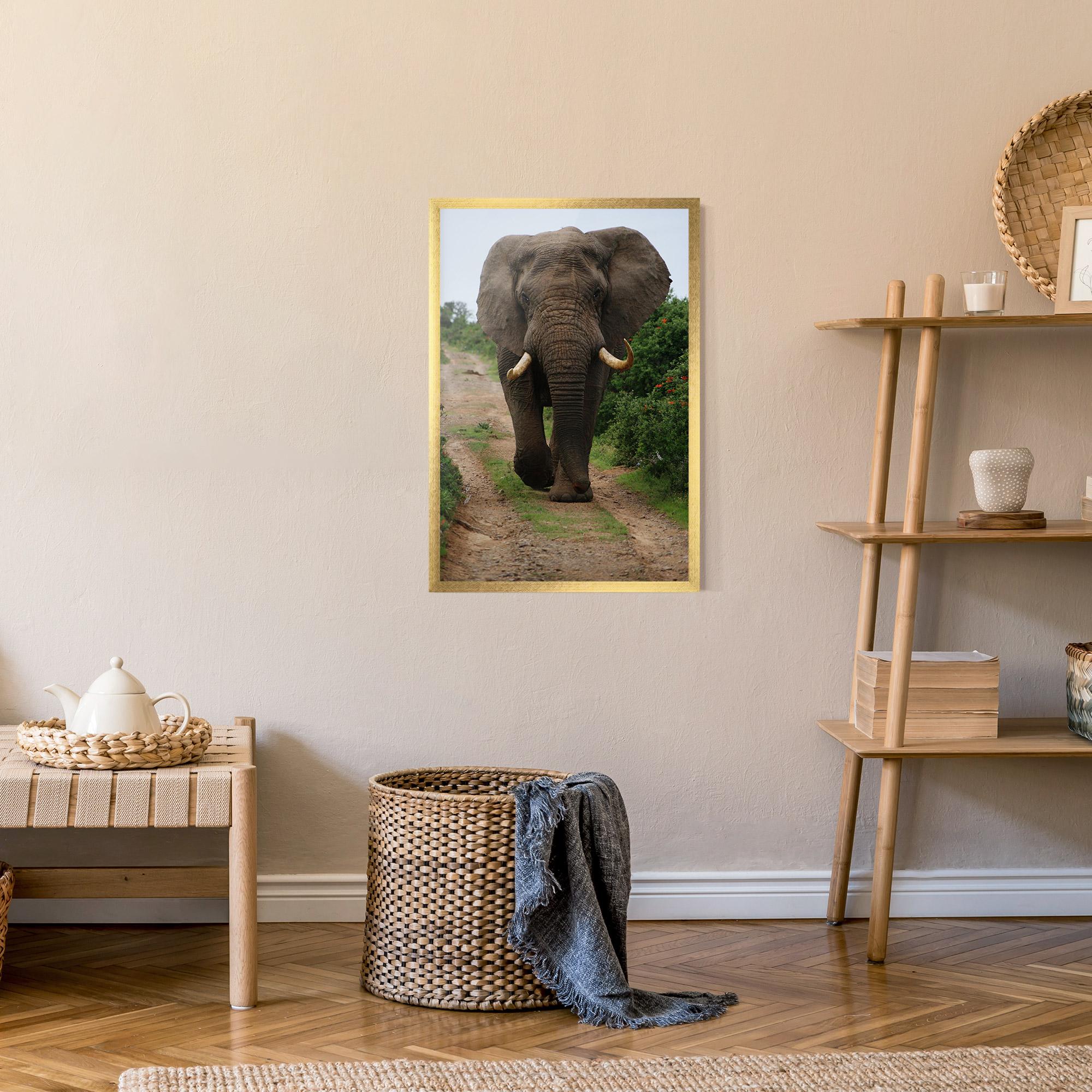Poster Înrămat Elephant Safari mockup 9