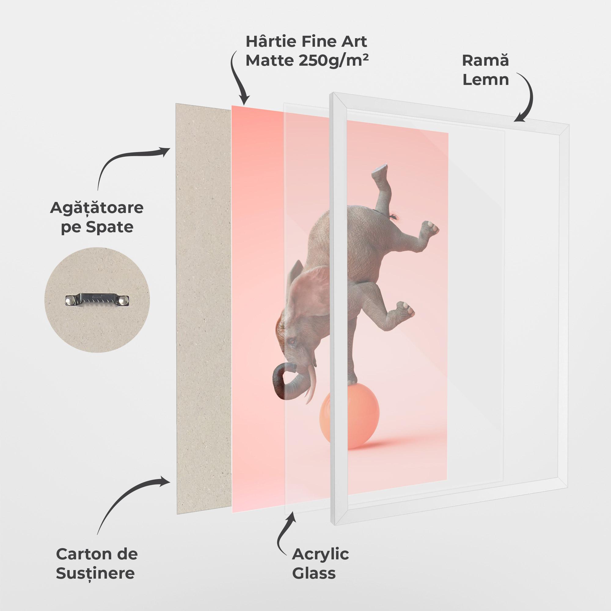 Poster Înrămat Ball Elephant mockup 1