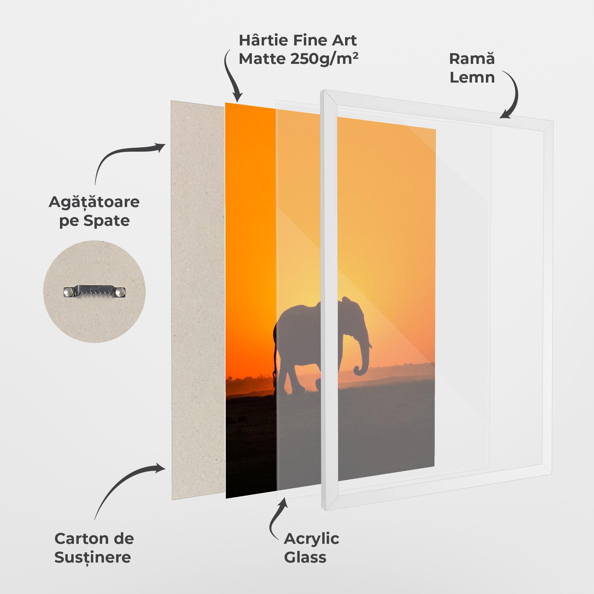 Poster Înrămat Beautiful Elephant mockup 1