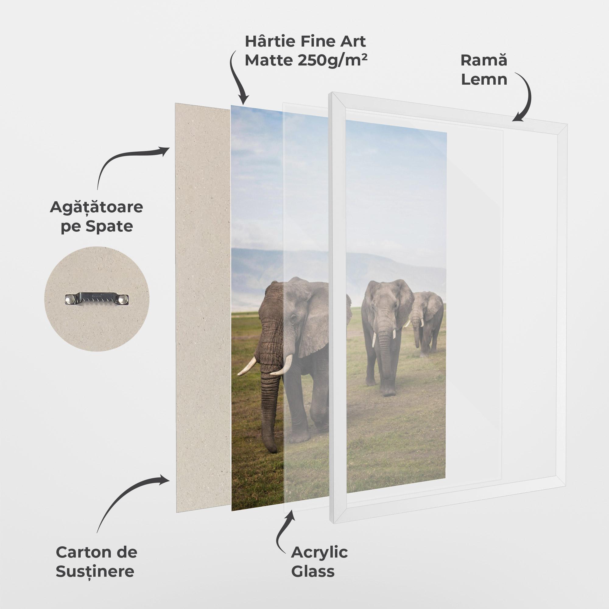Poster Înrămat Elephant Landscape mockup 1